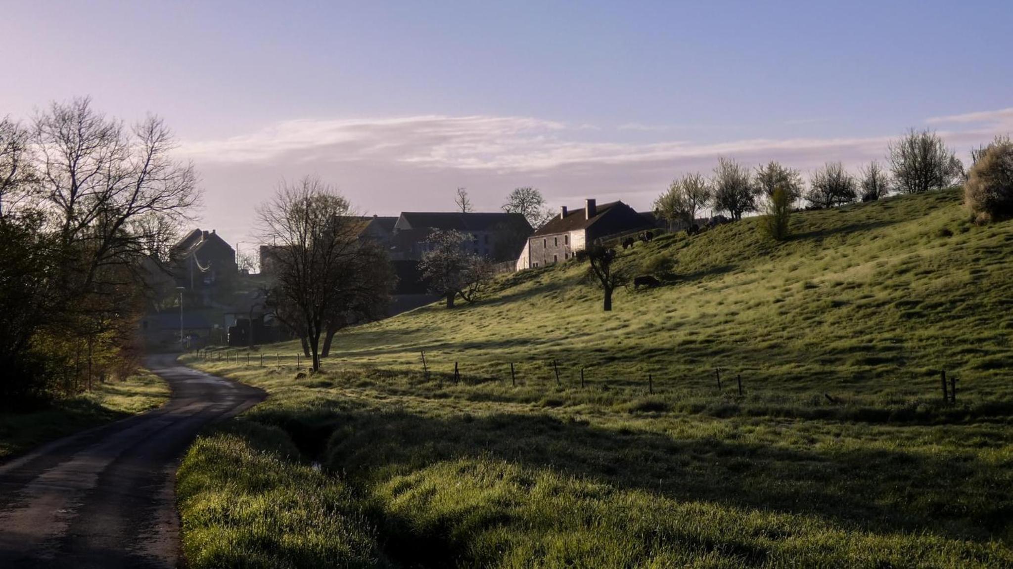 La colline aux hirondelles