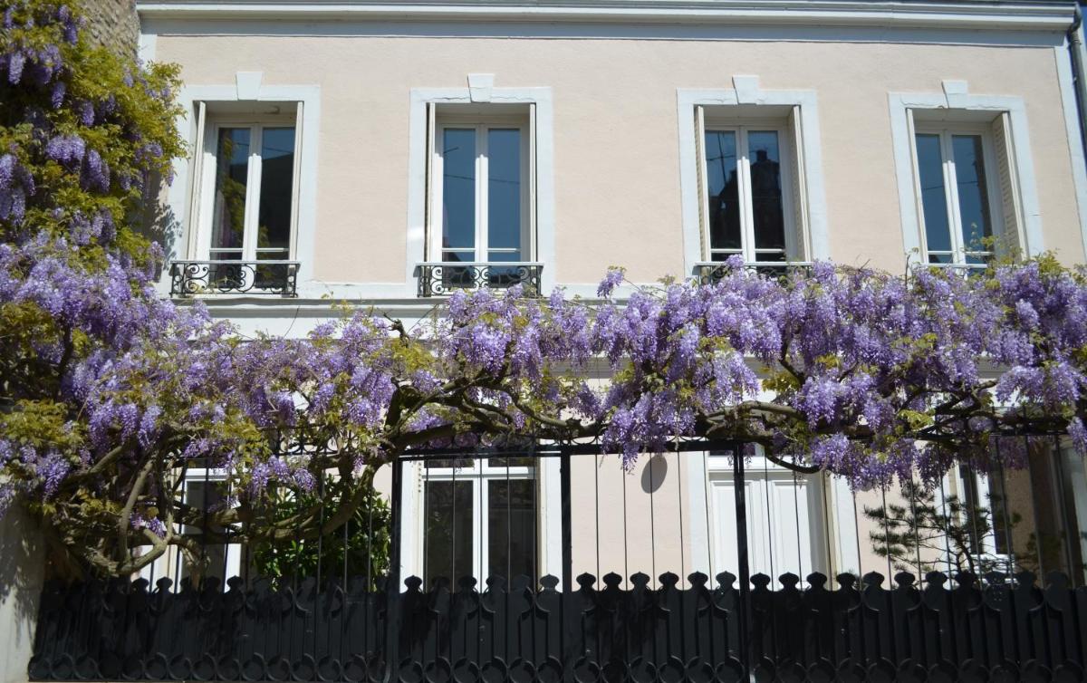 Wisteria, photo 16