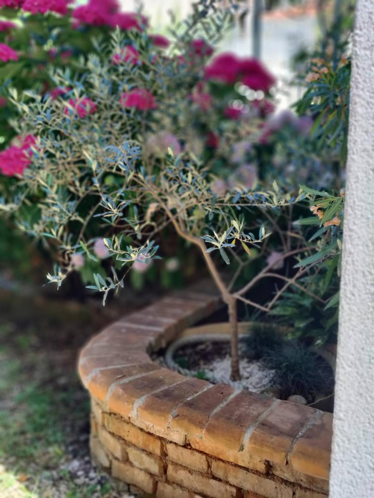 Miro guesthouse