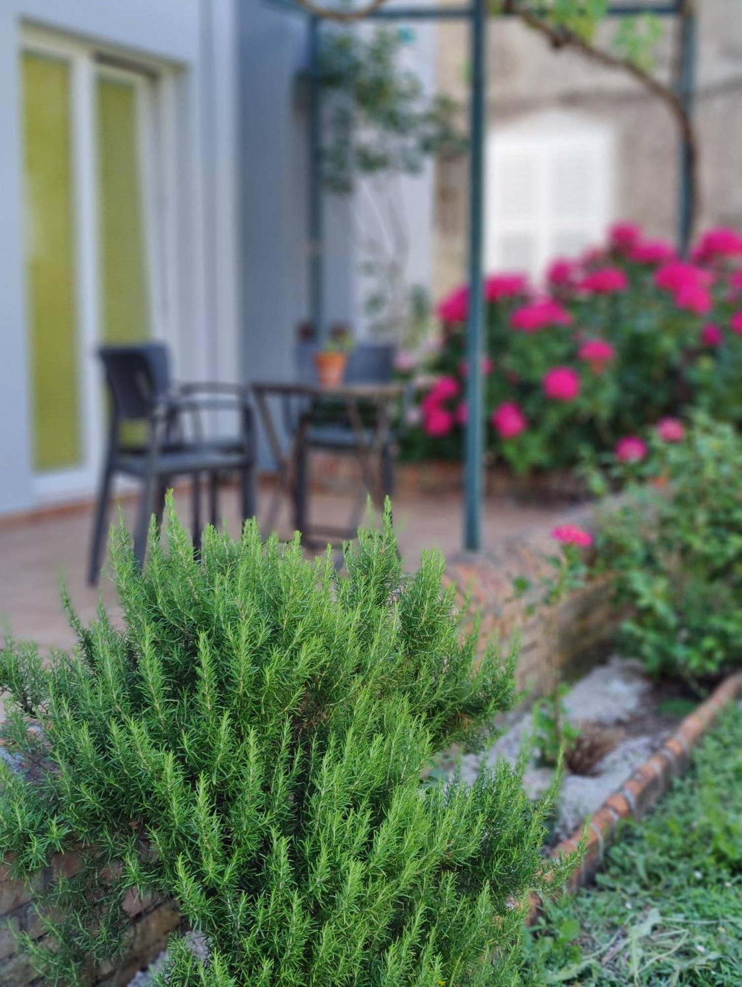Miro guesthouse