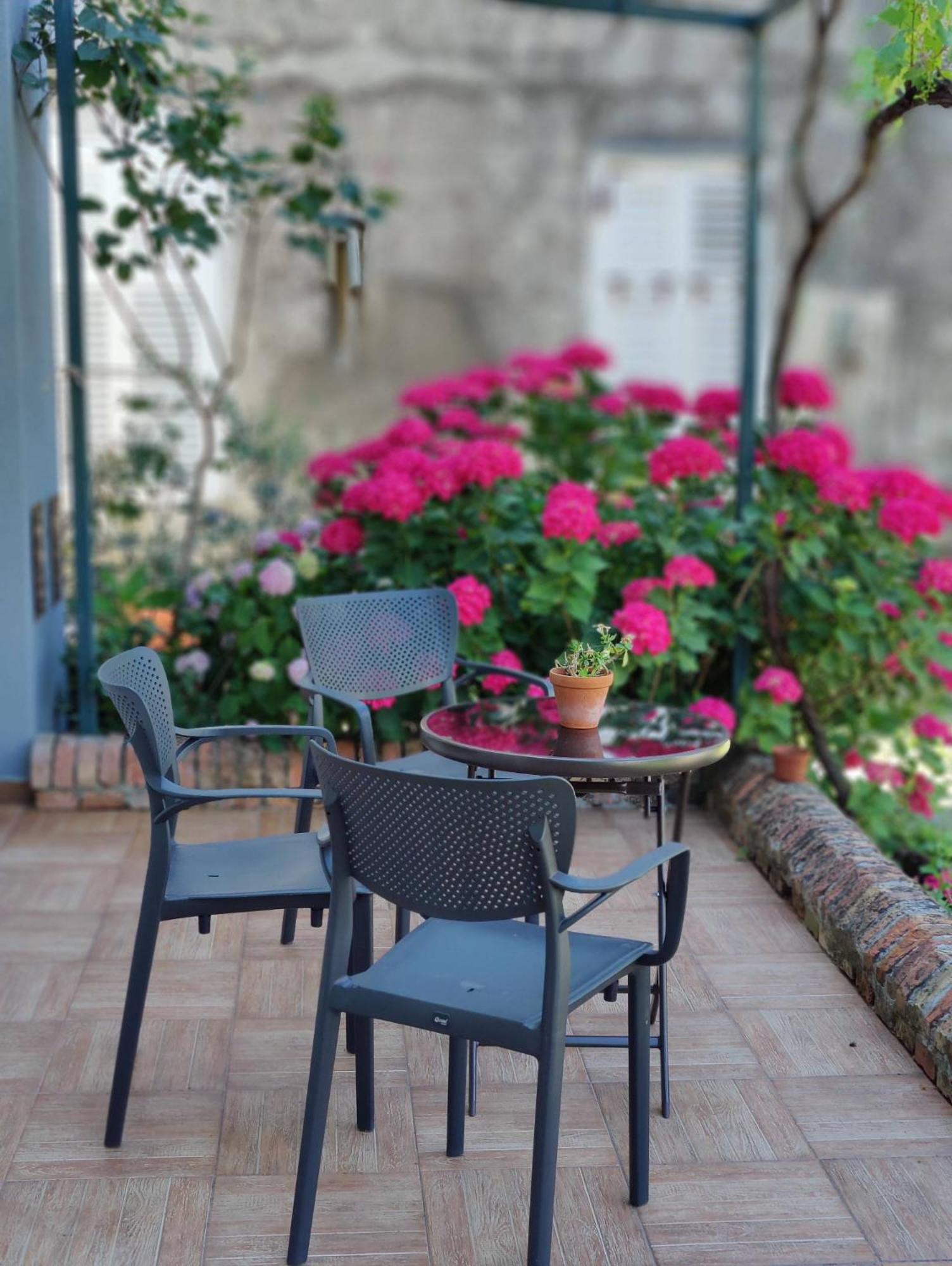 Miro guesthouse