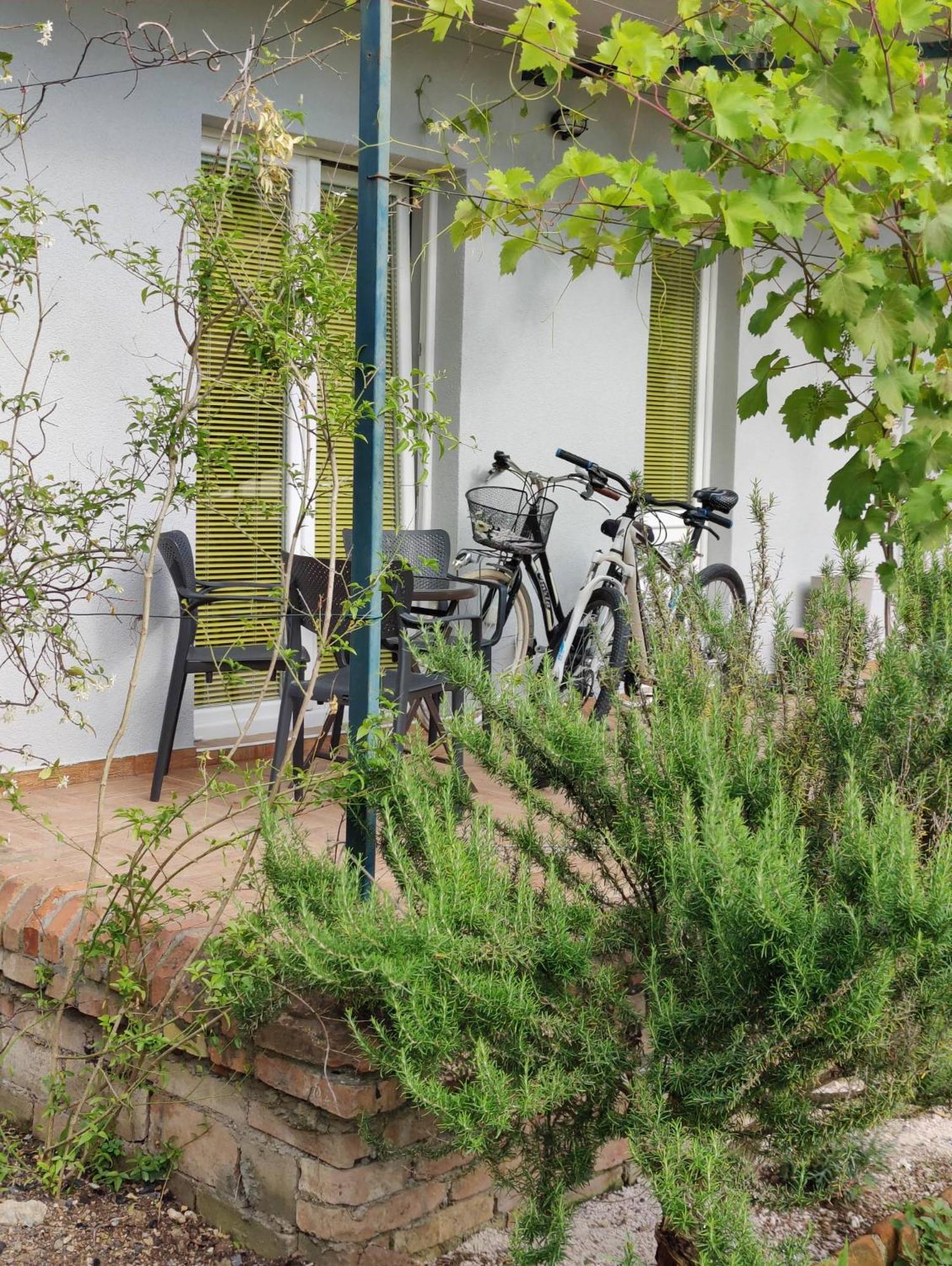 Miro guesthouse