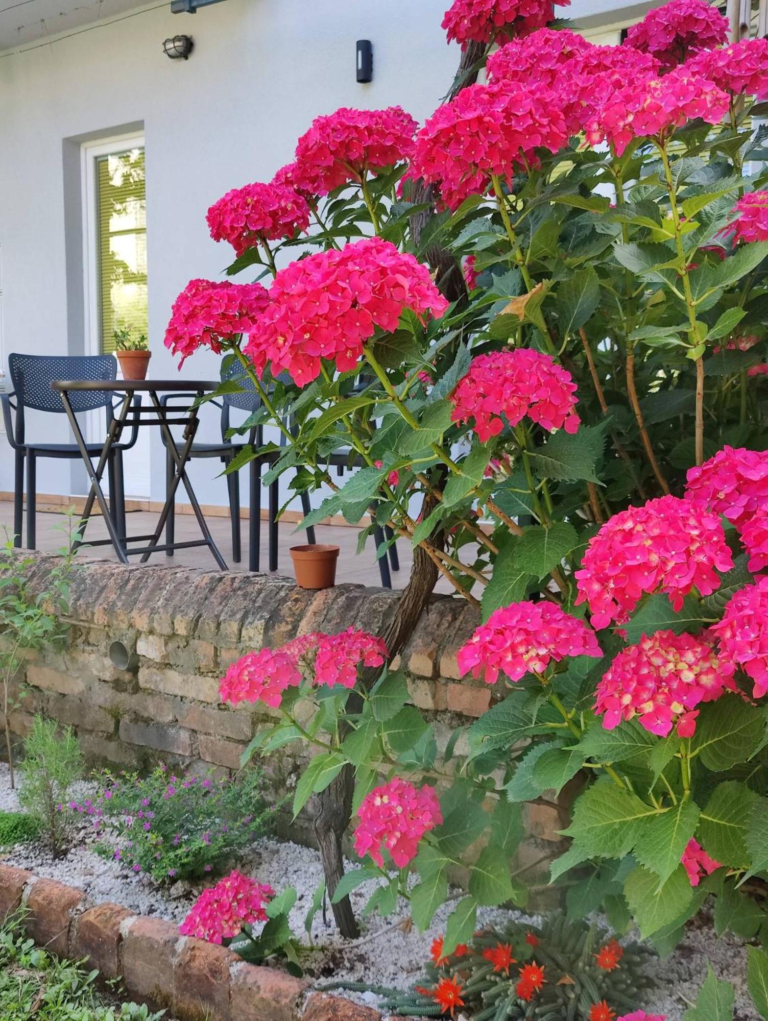 Miro guesthouse