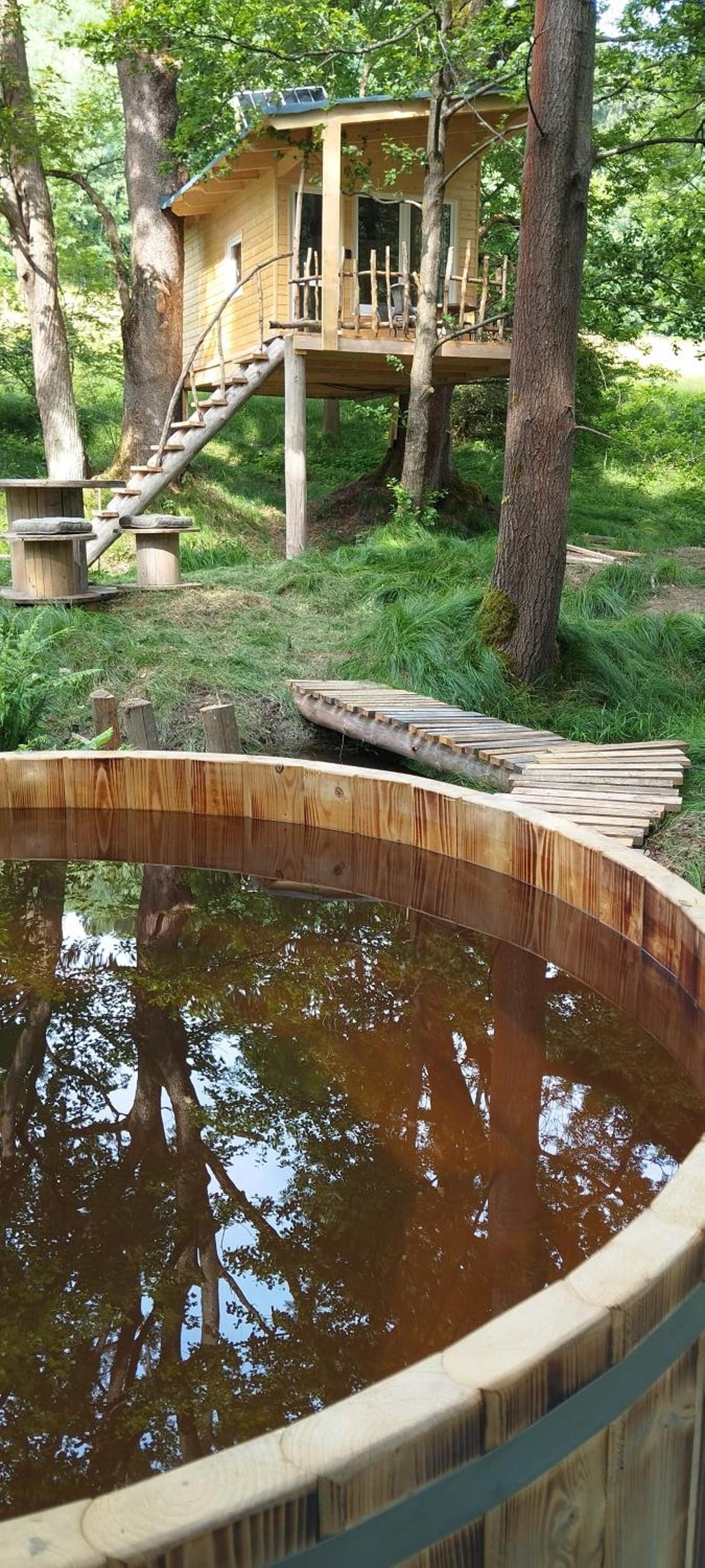 Treehouse LEA