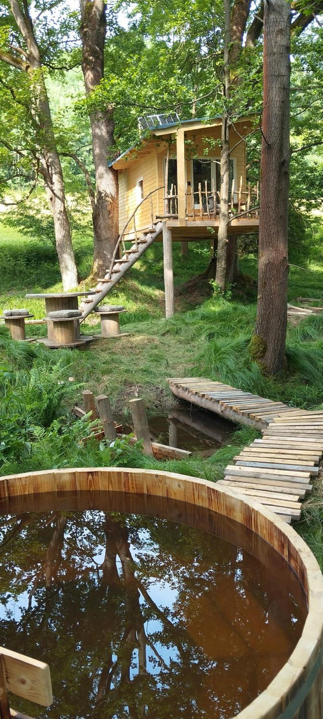 Treehouse LEA