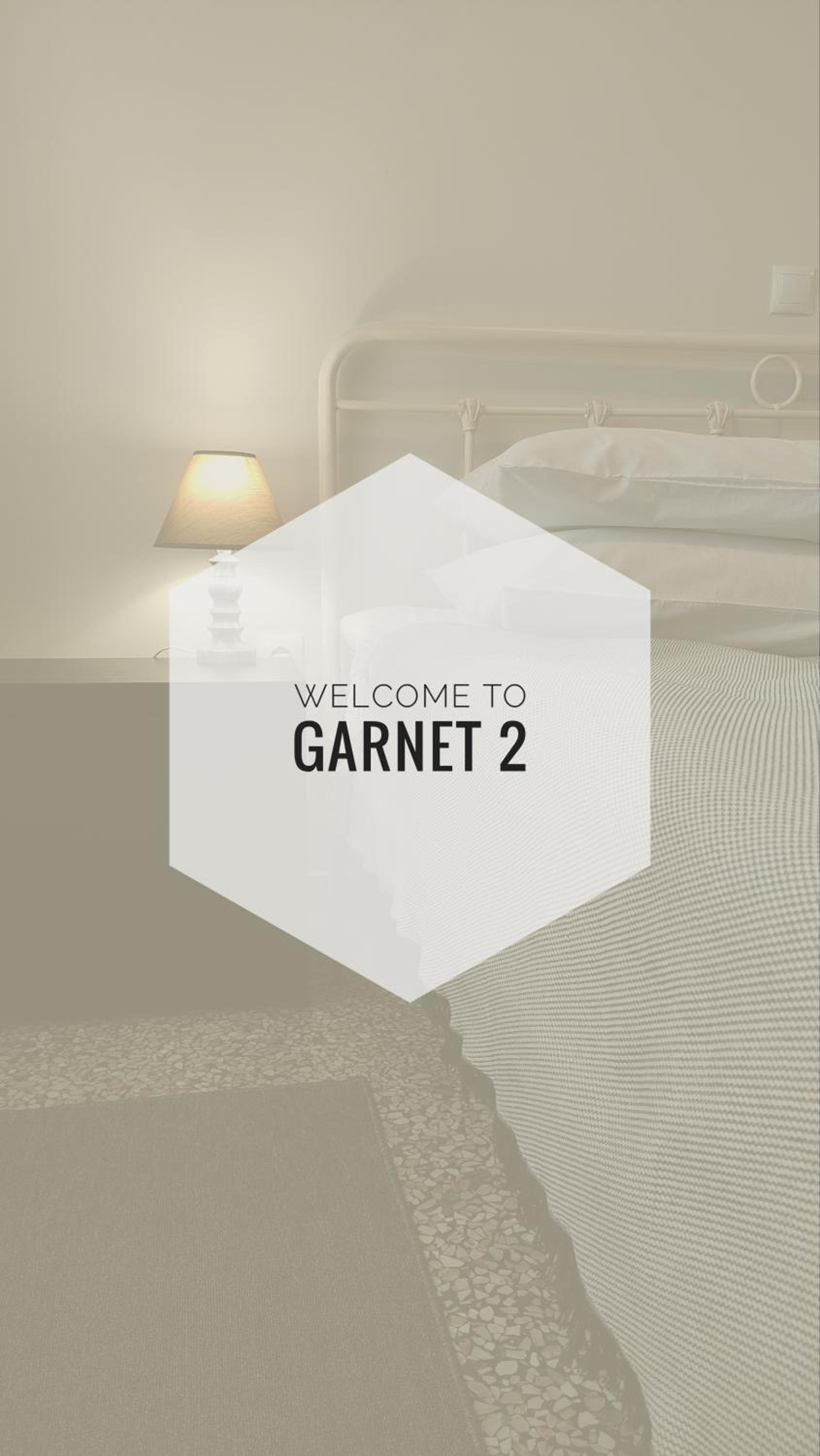GARNET2 view 2