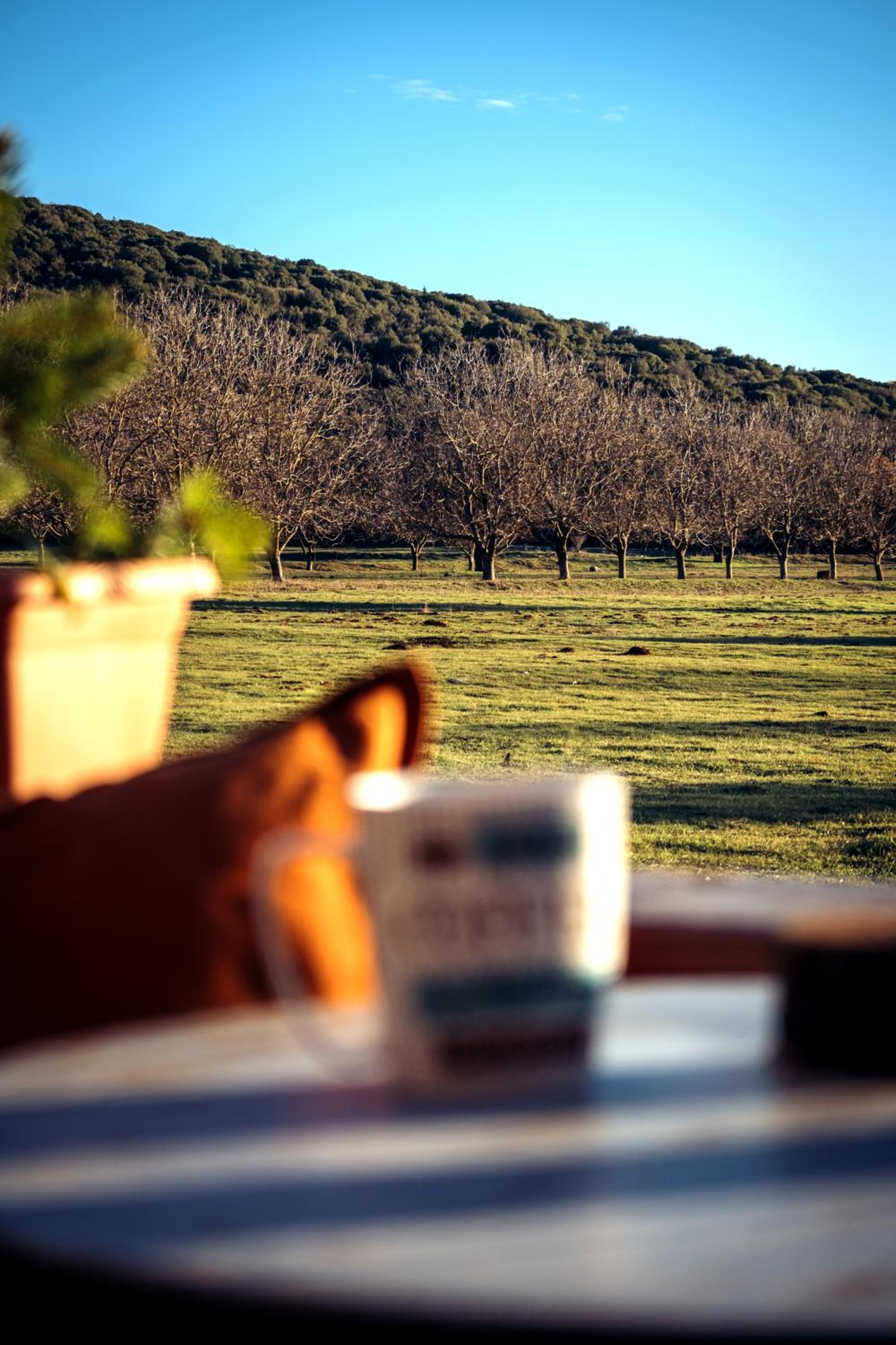 The Rancho Relaxo view 2
