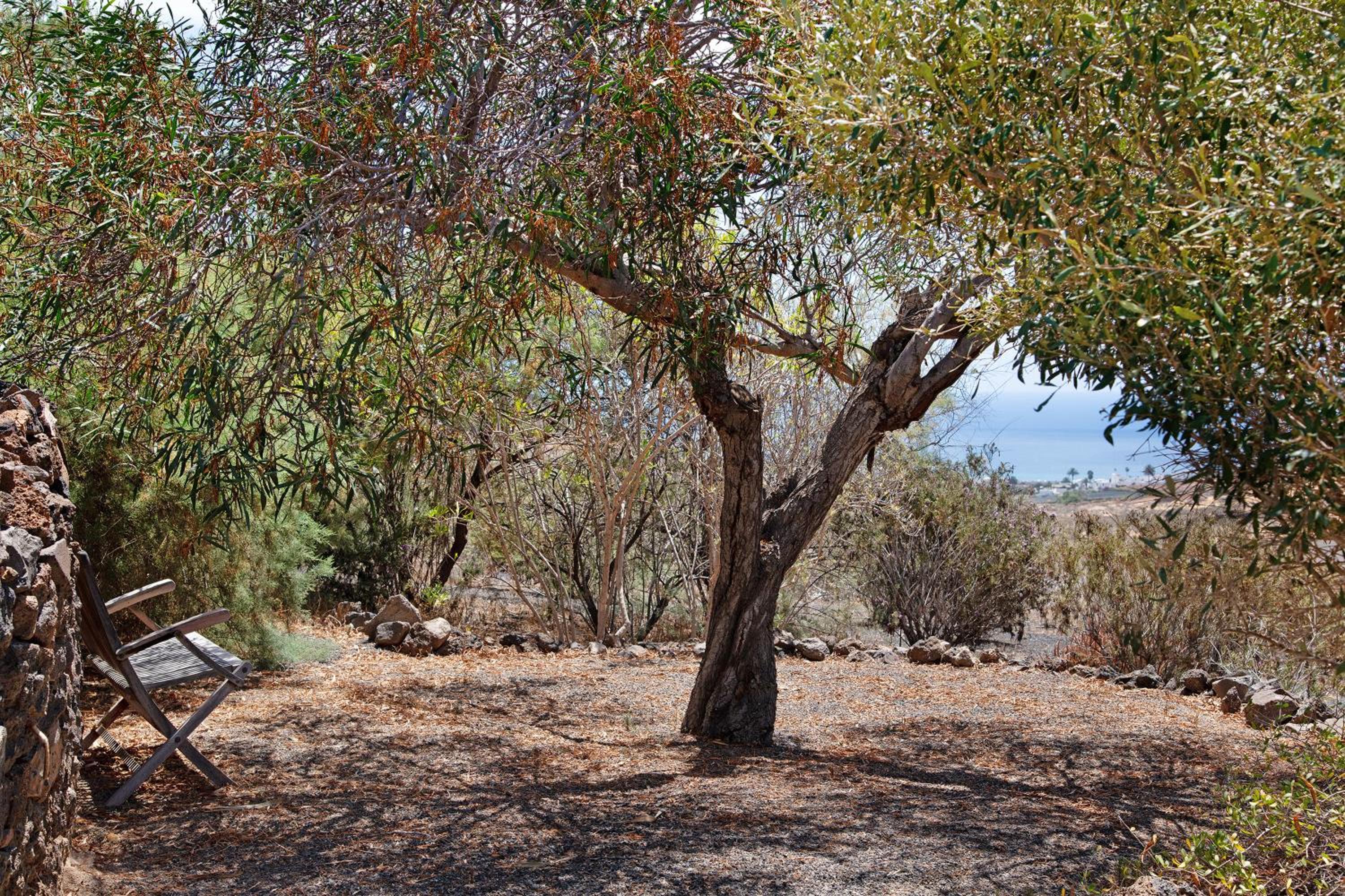 Ecolodge Finca Chafariz