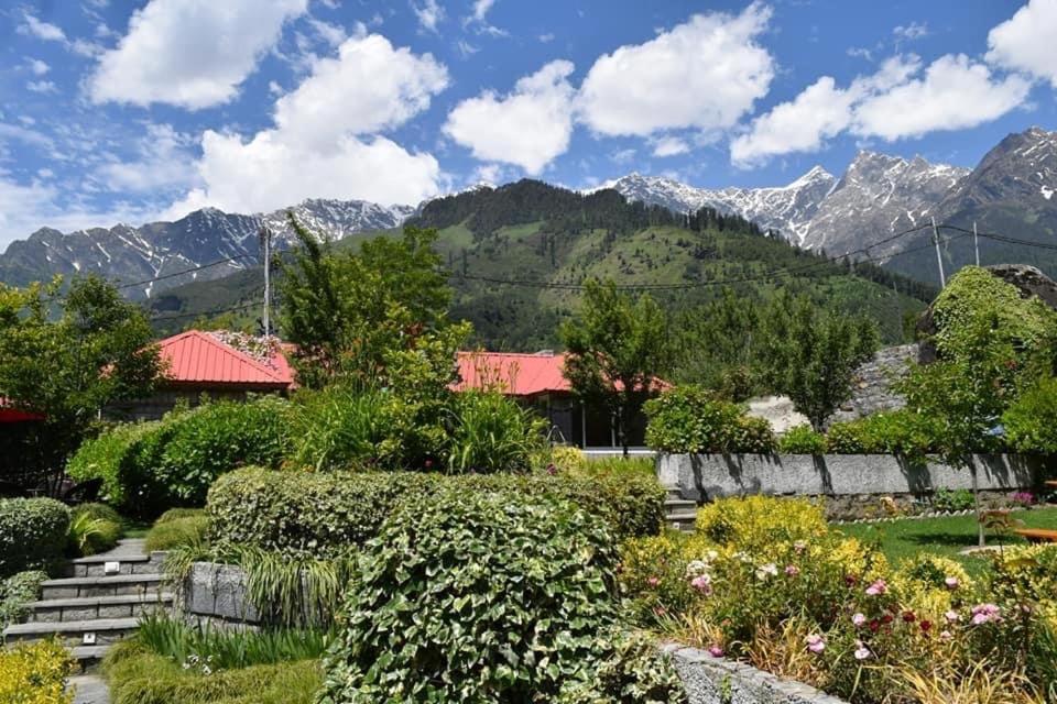 The Amrit Manali - 3BHK Villas view 2