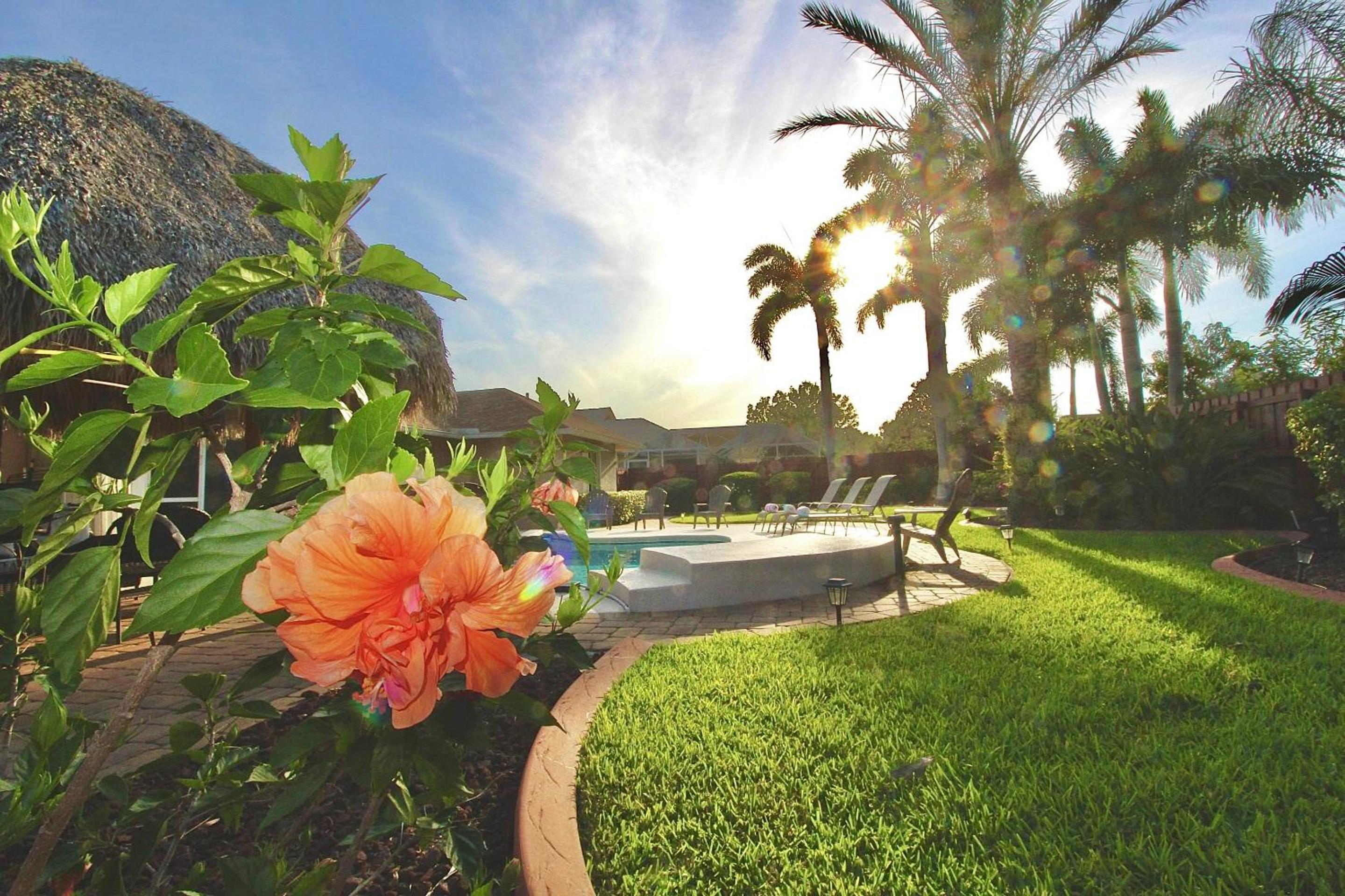 Tiki Place