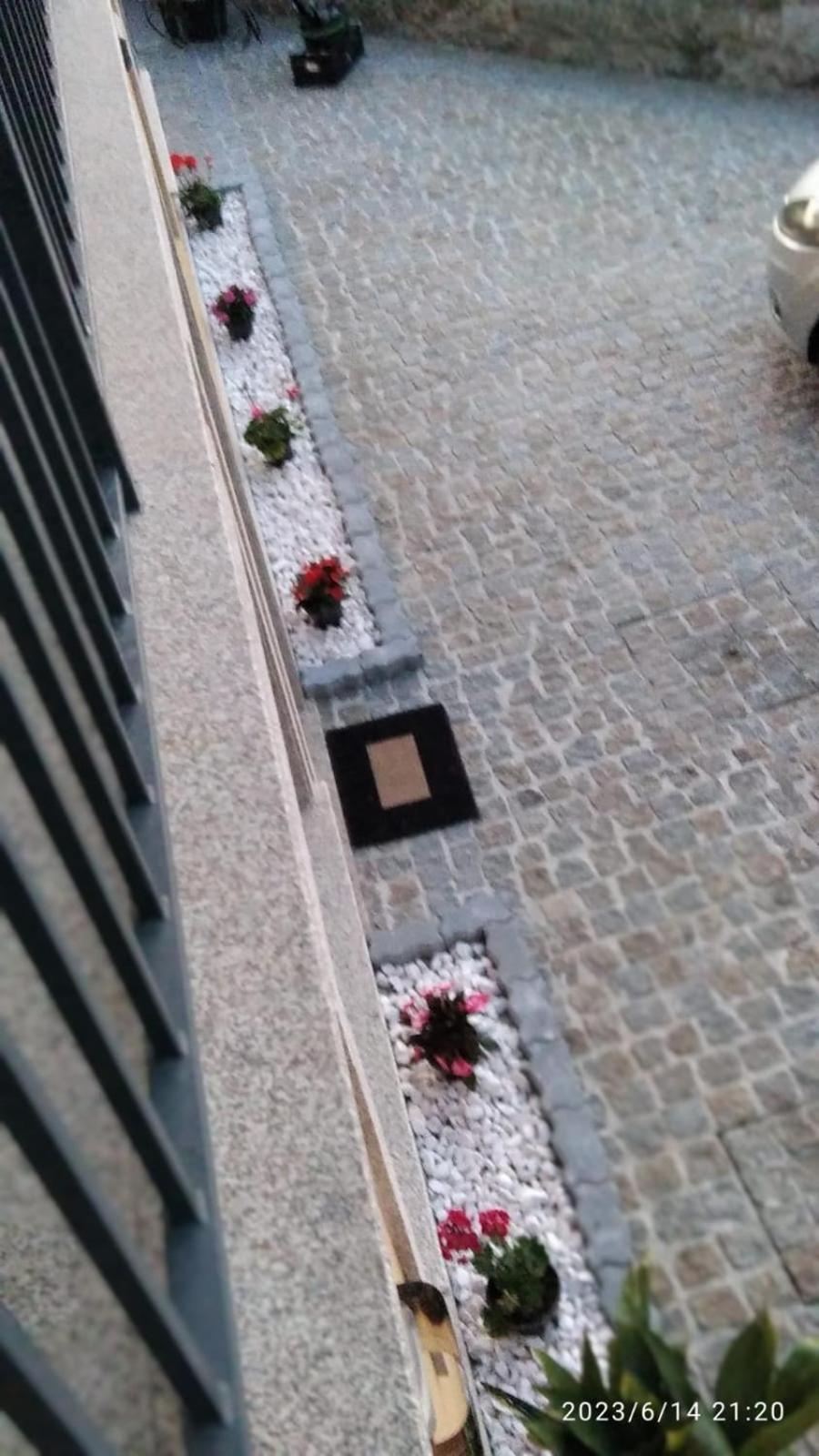Photo 100