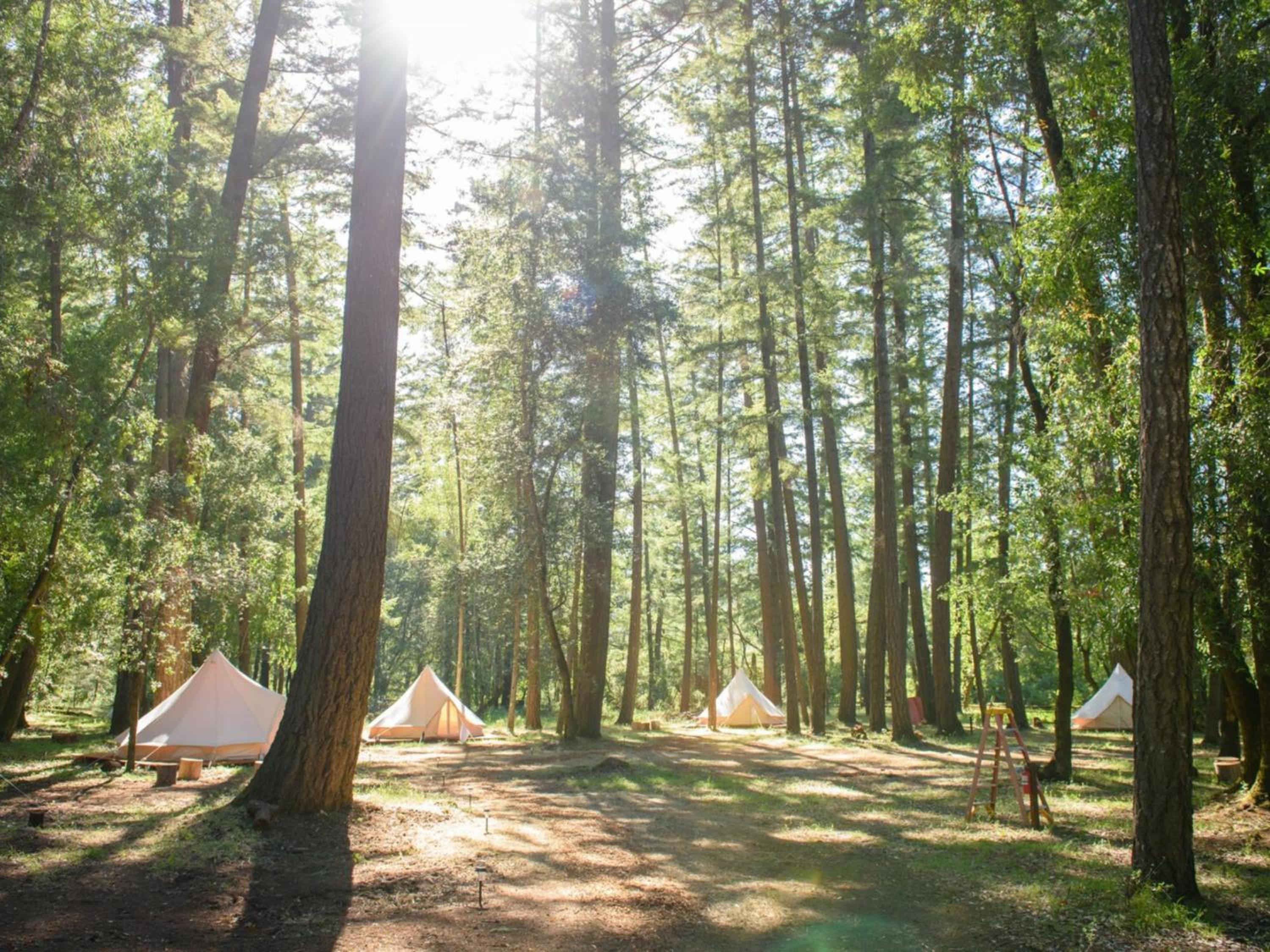 The Land - Luxury Retreat Center In Beautiful Nature - Bay Area Northern California view 3