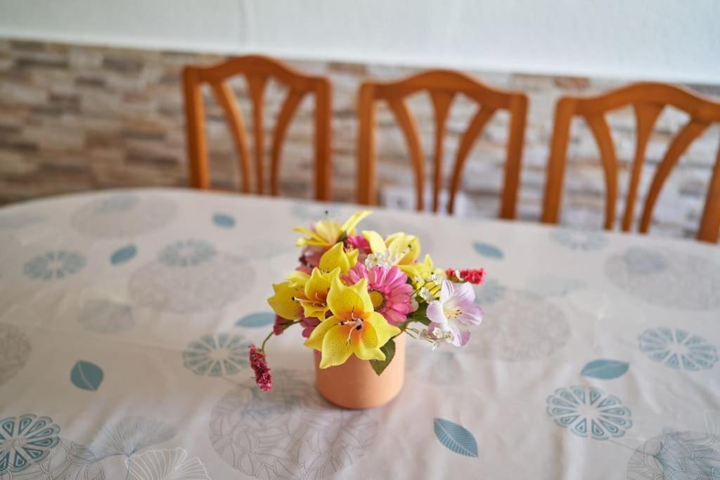 Apartamento Jove