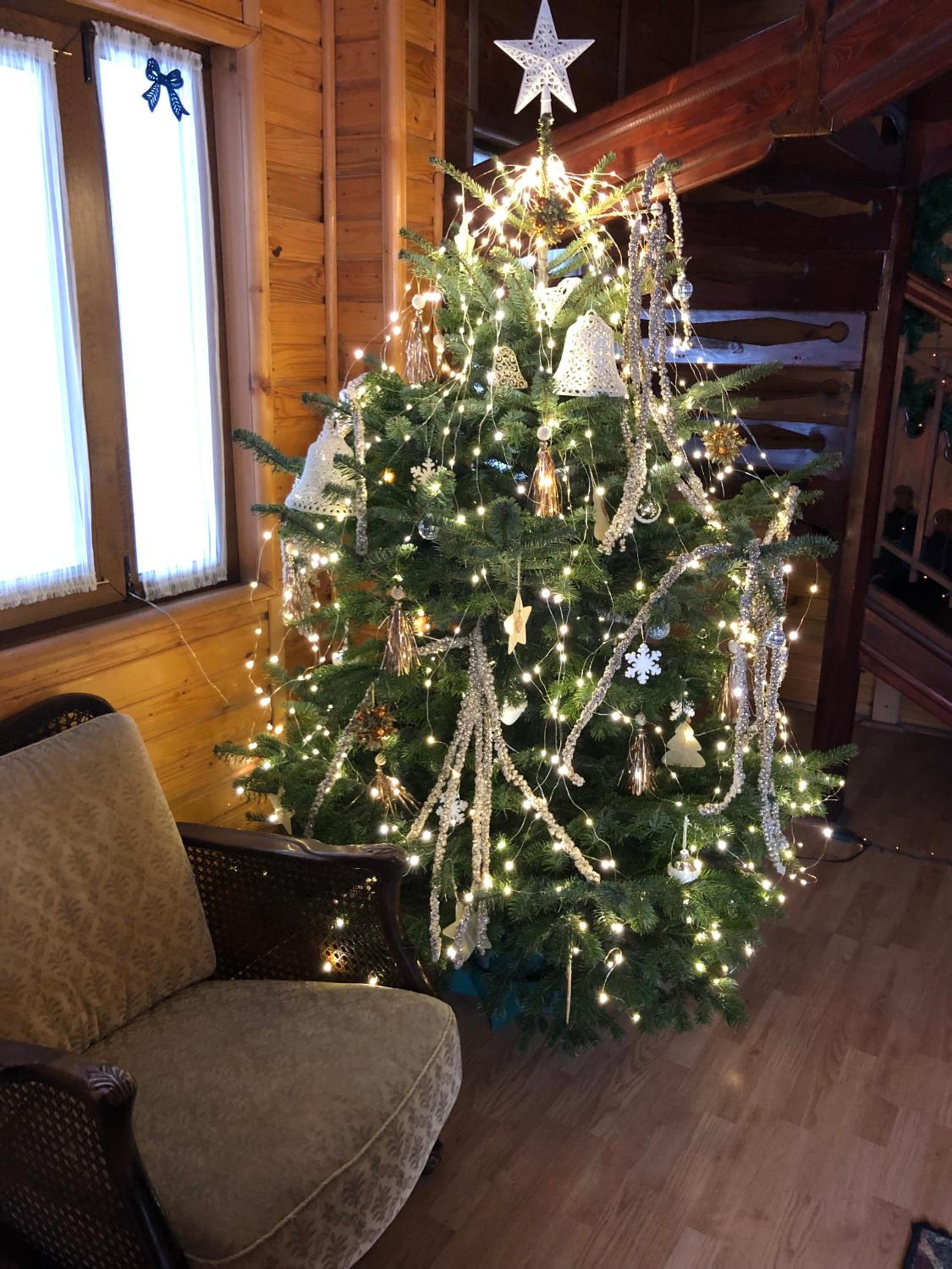 Photo 45