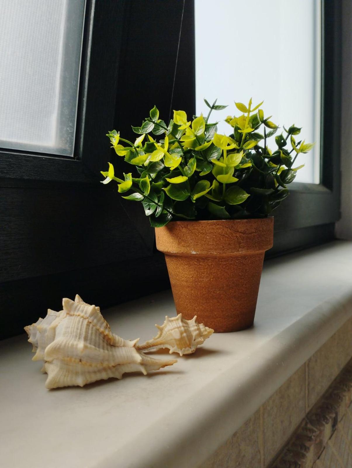 elea home apartments