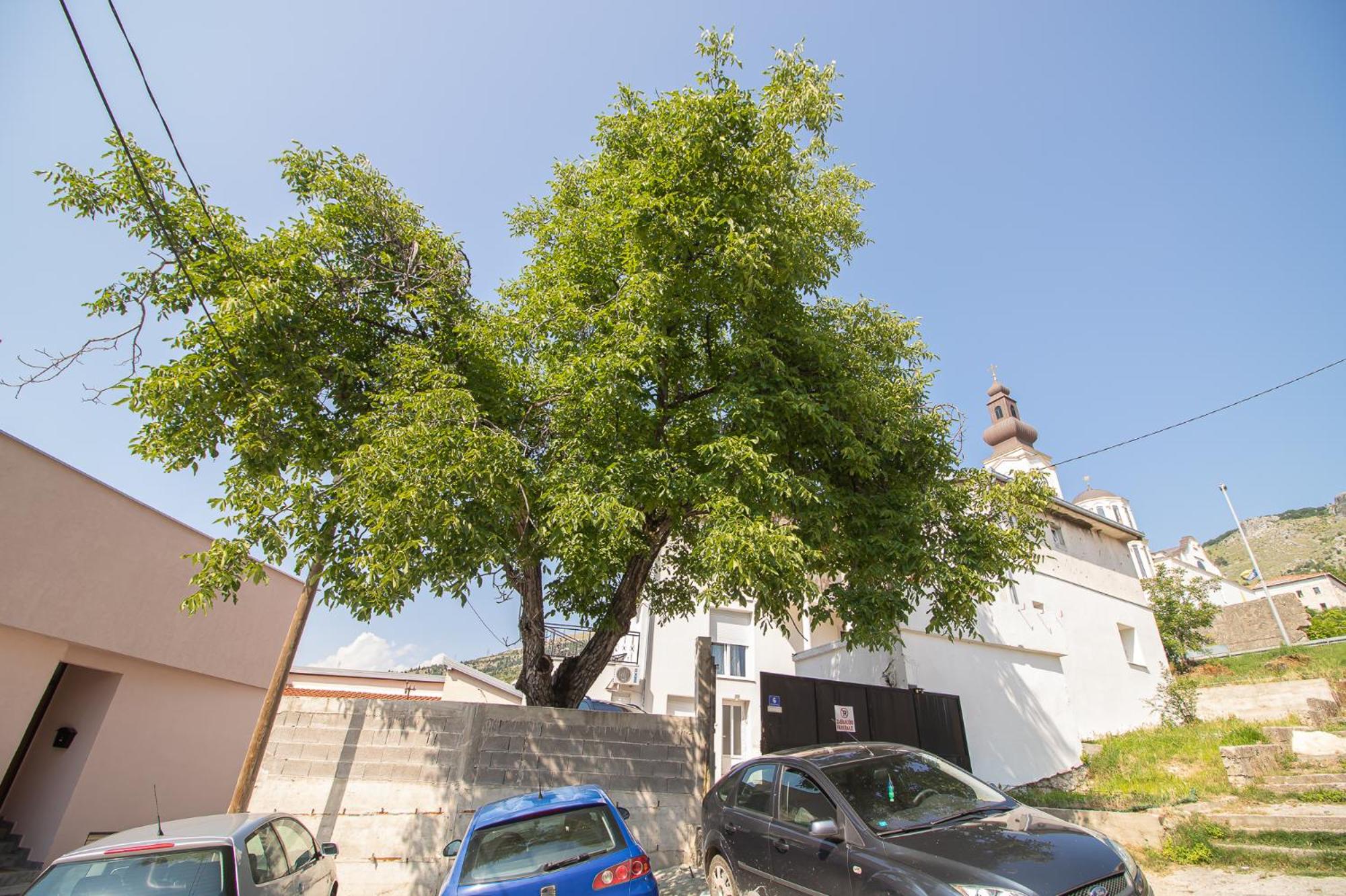 Apartments Vanaris