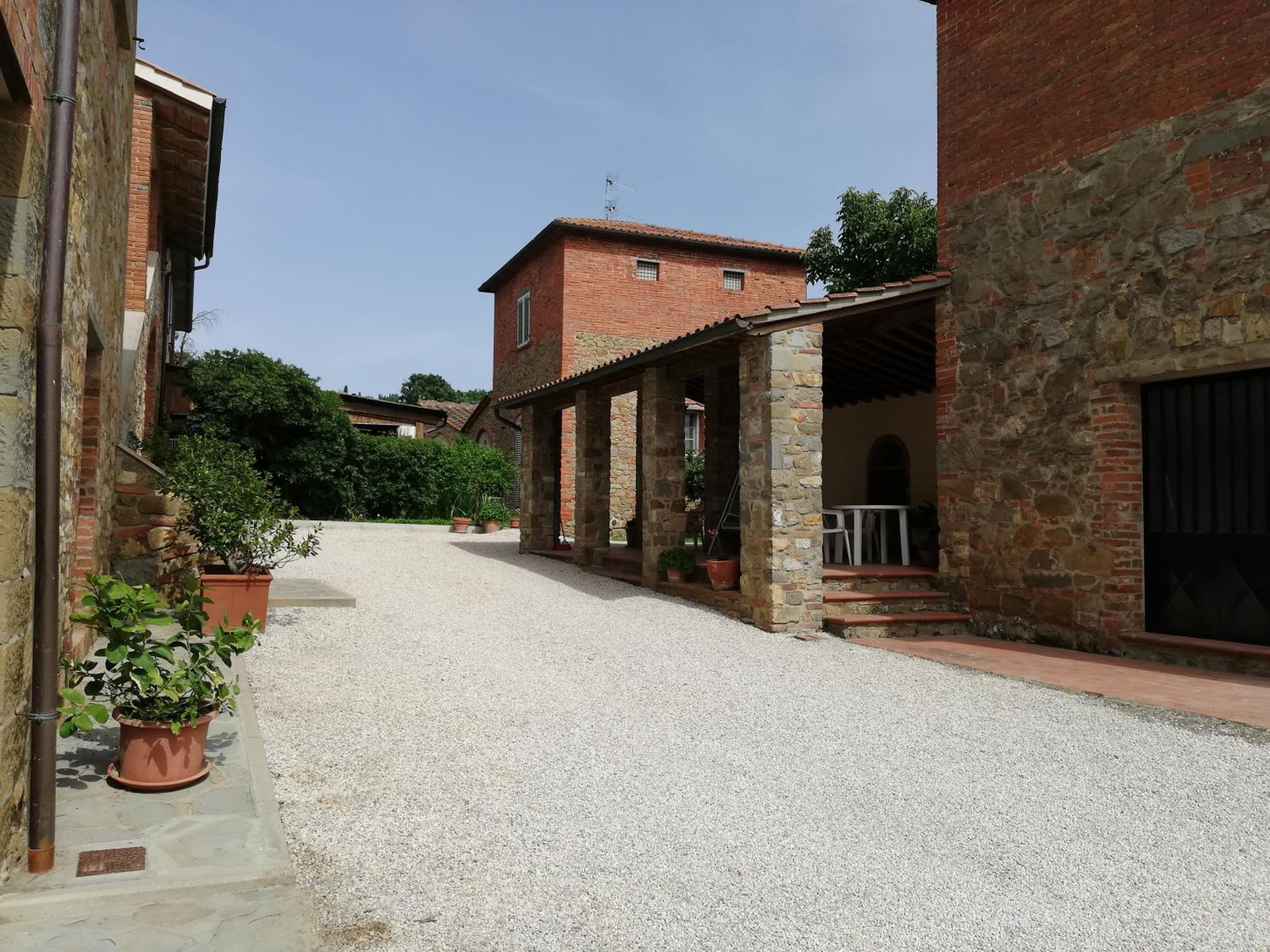 Il papavero verde view 3