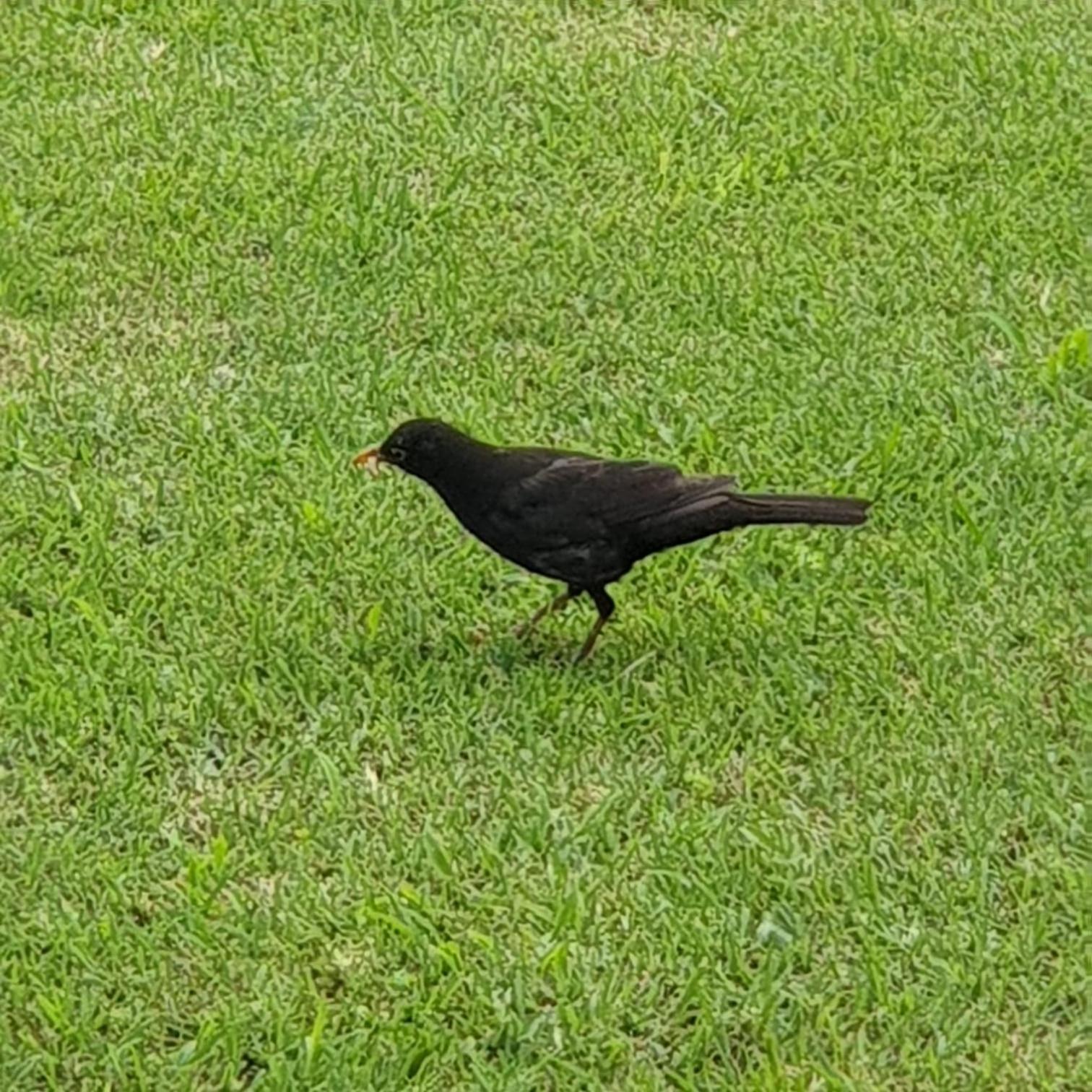 other