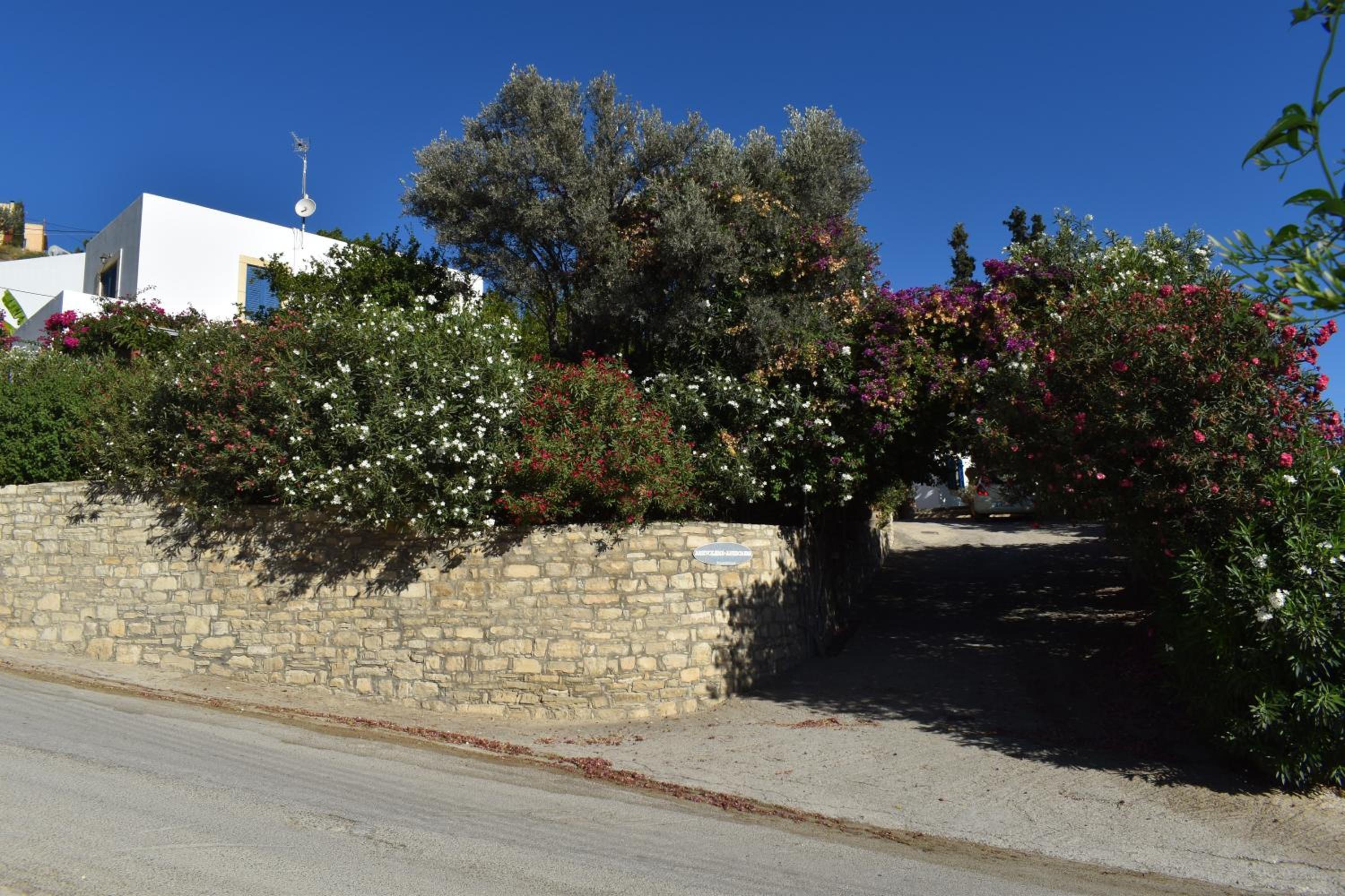ANEVOLEMA