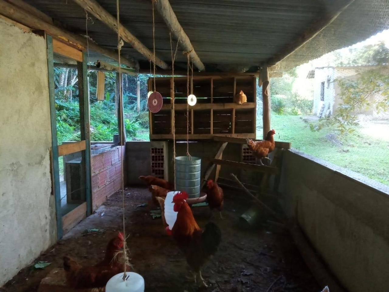 Photo 25