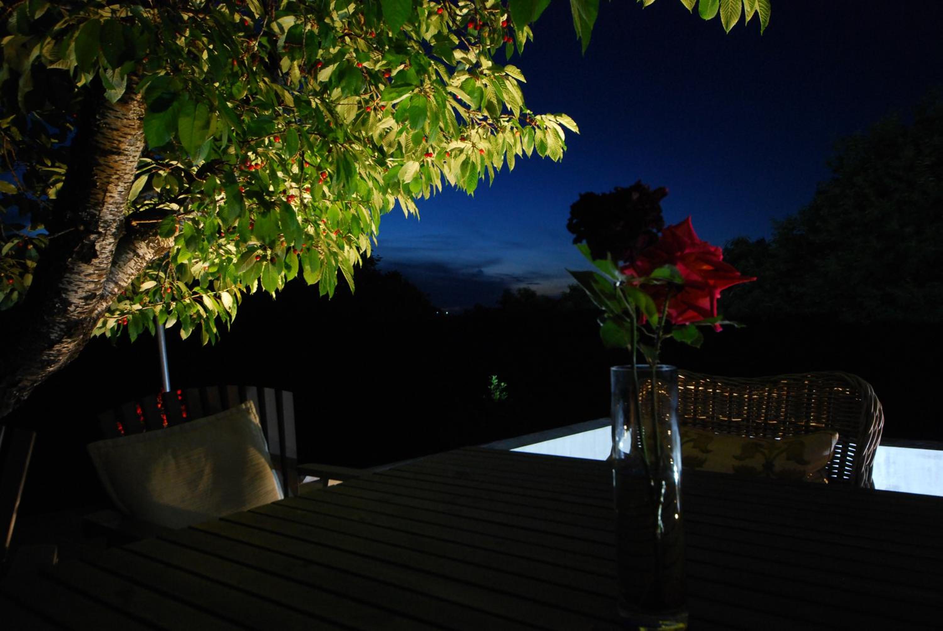 ARKPelion