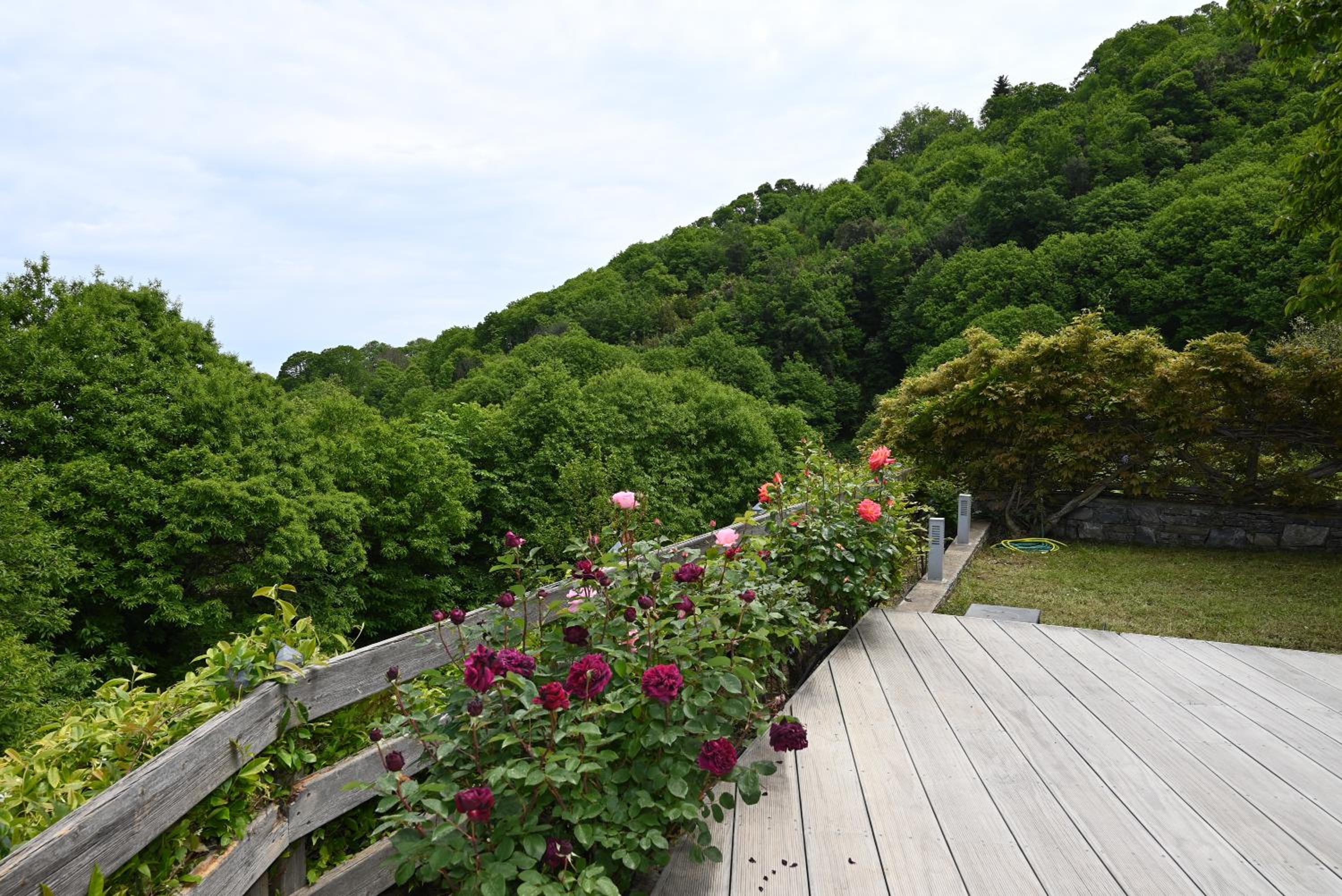 ARKPelion