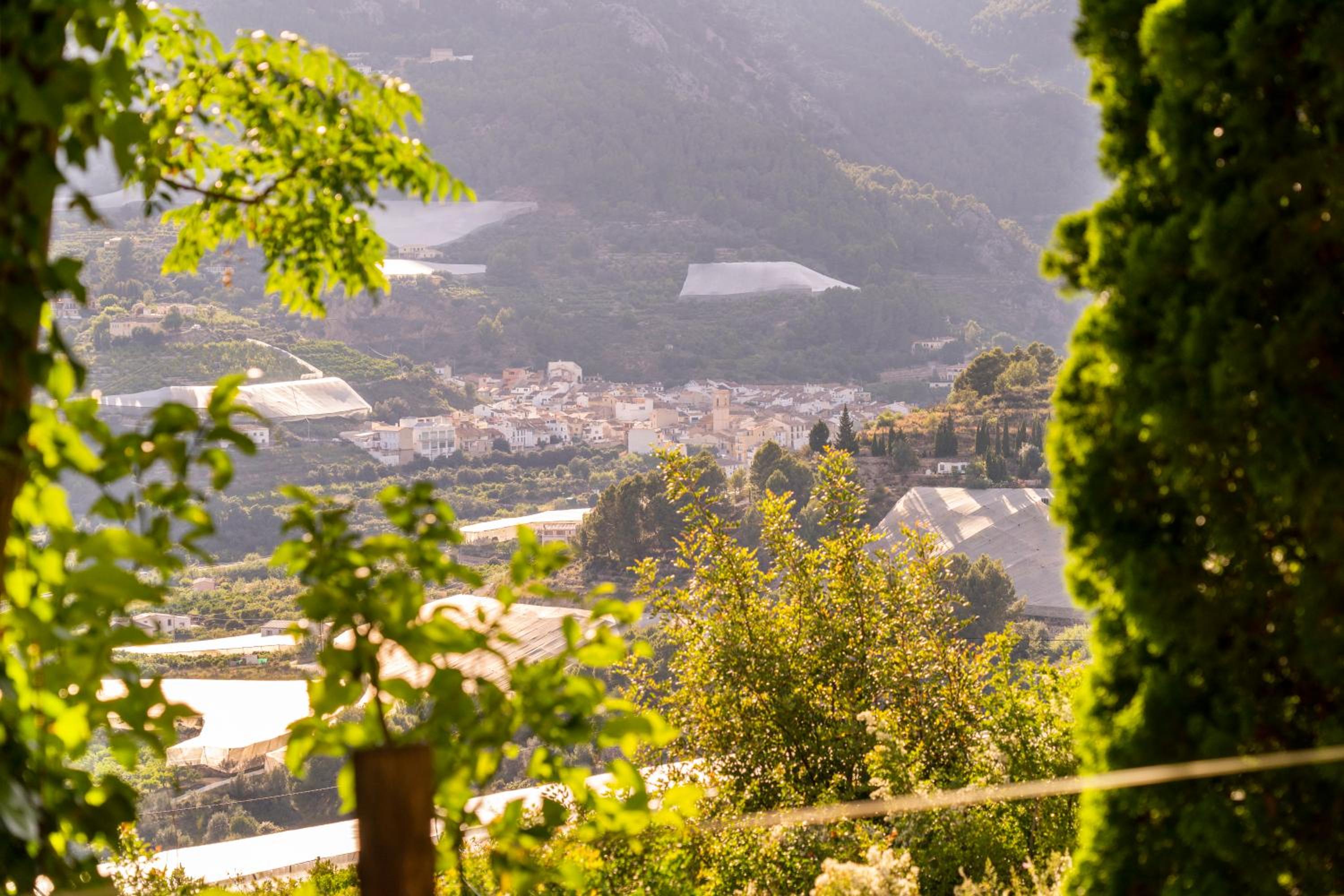 Finca el Tossal - Adults Only