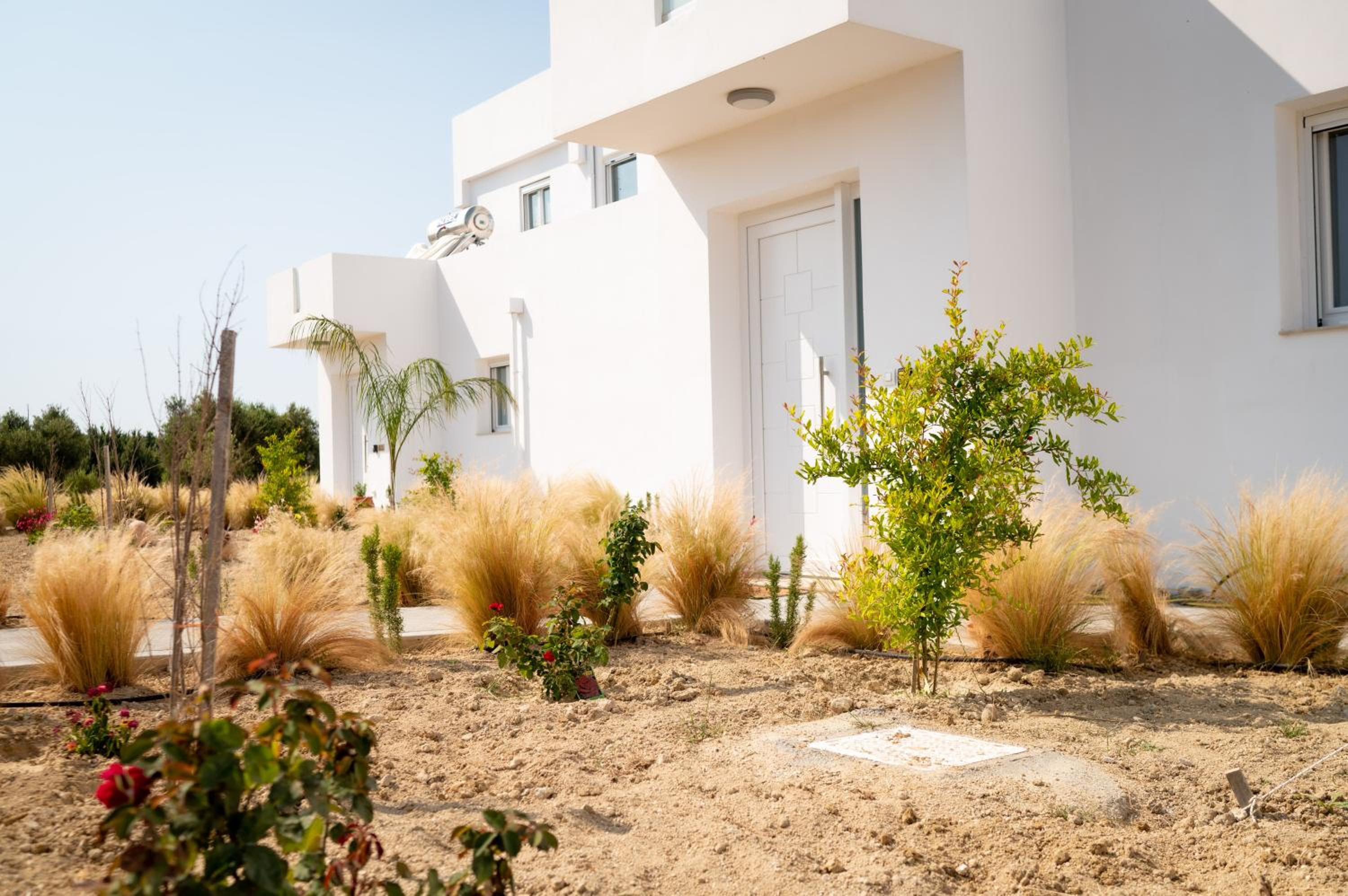 Saint Nicholas Houses