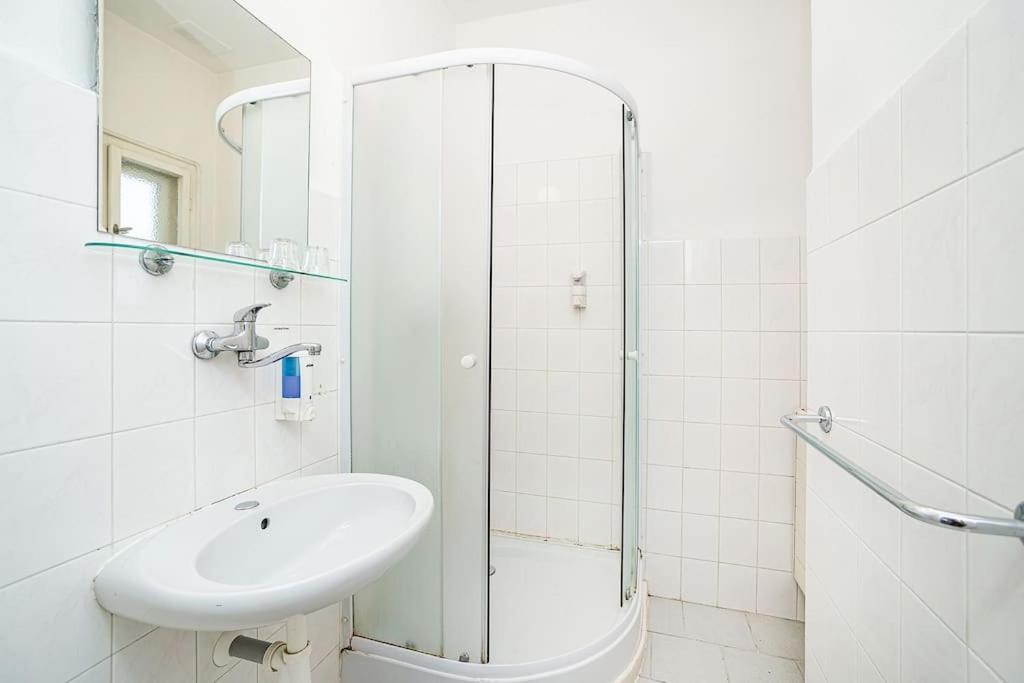 Flat in Zizkov -401-