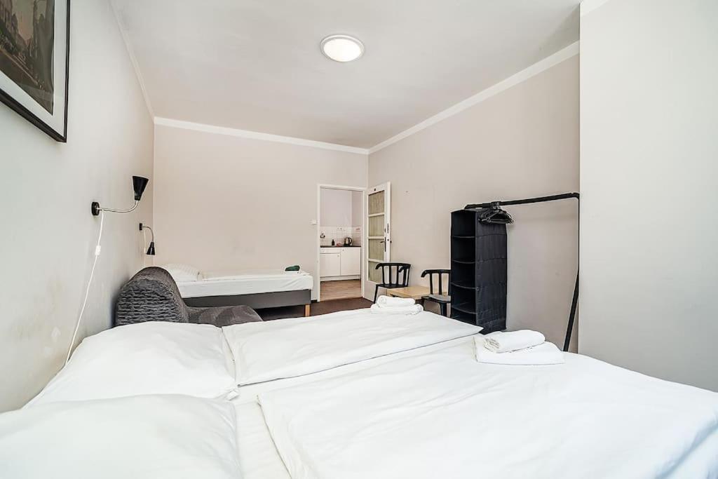Flat in Zizkov -401-