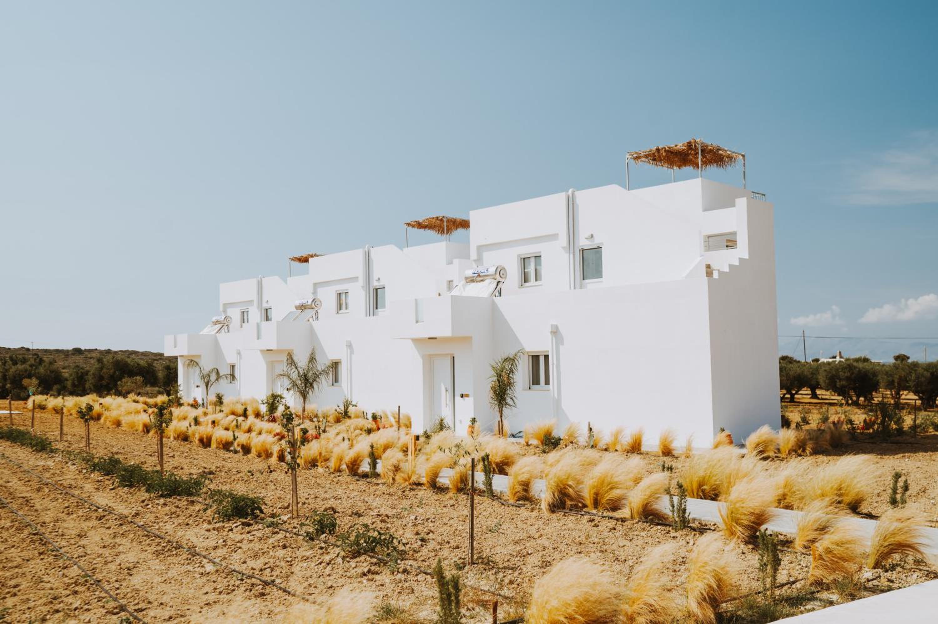 Saint Nicholas Houses