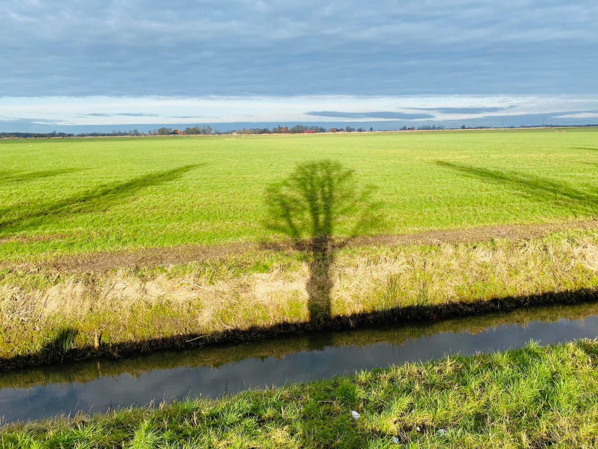 Mauritiuskerk Studio's - Property Image 9
