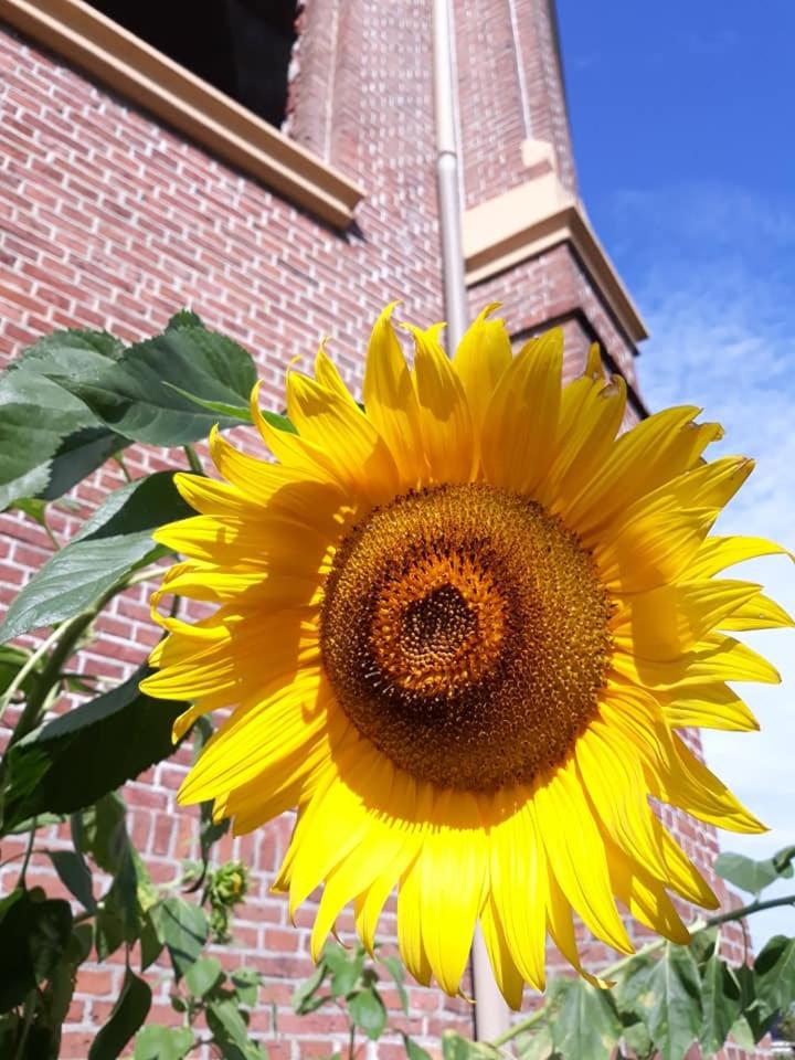 Mauritiuskerk Studio's - Property Image 1