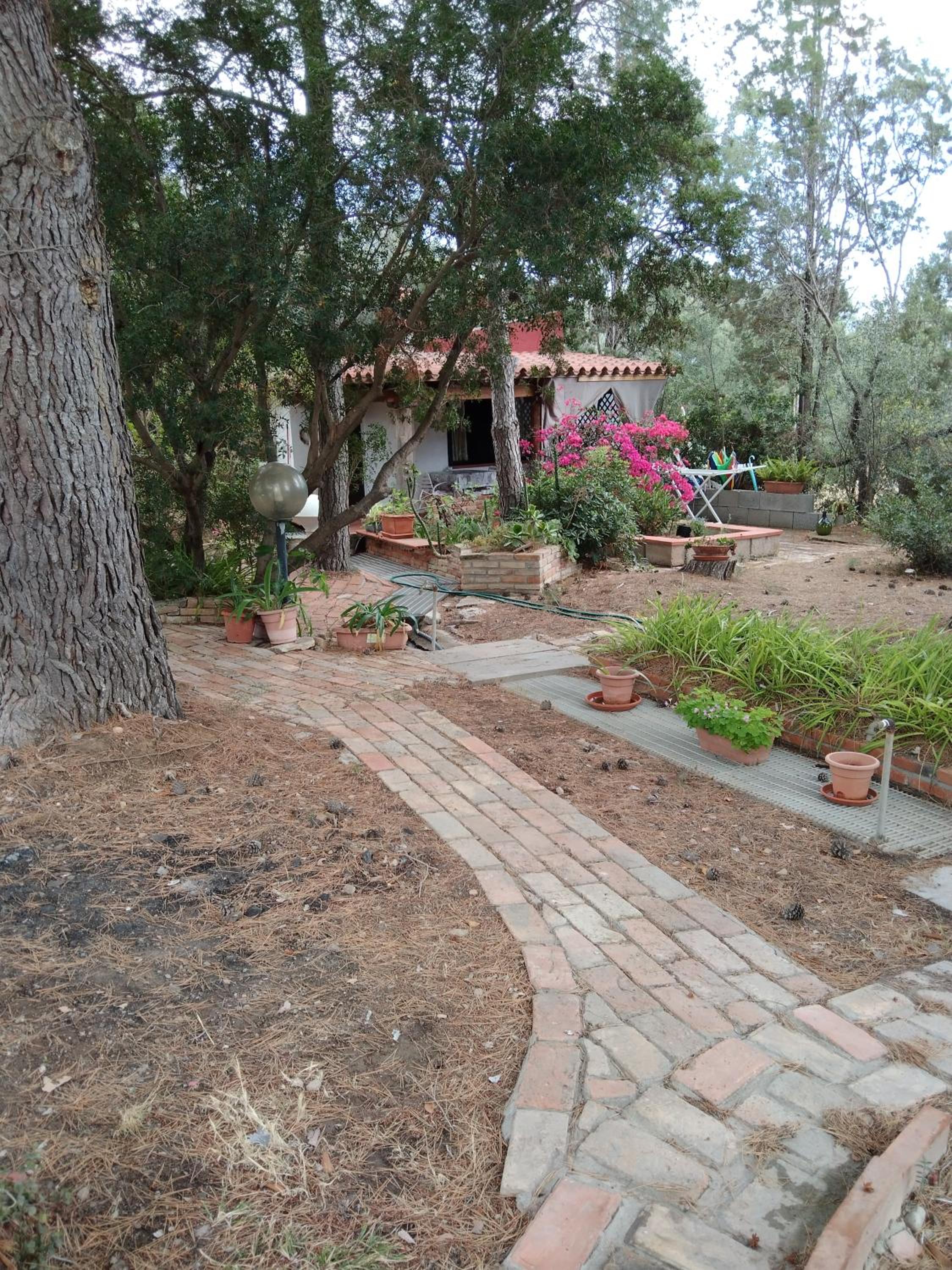 Photo 28