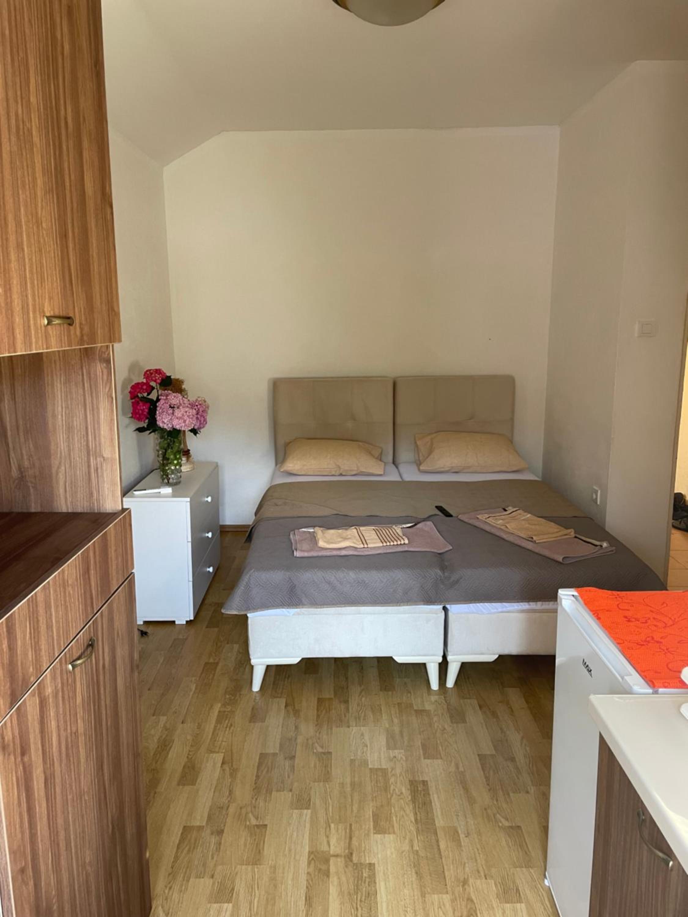 Apartman Grujicic 1 view 3