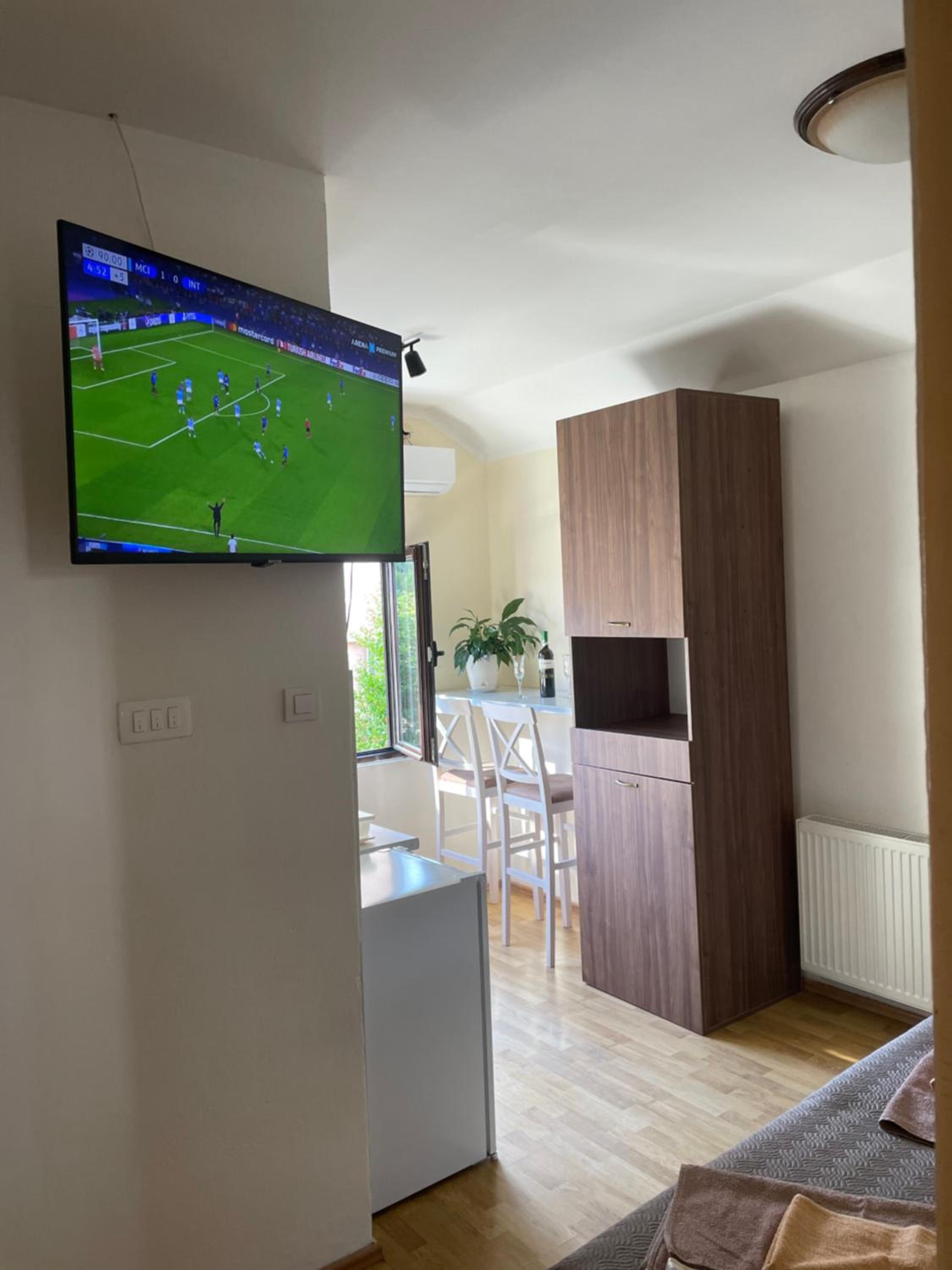 Apartman Grujicic 1 view 4