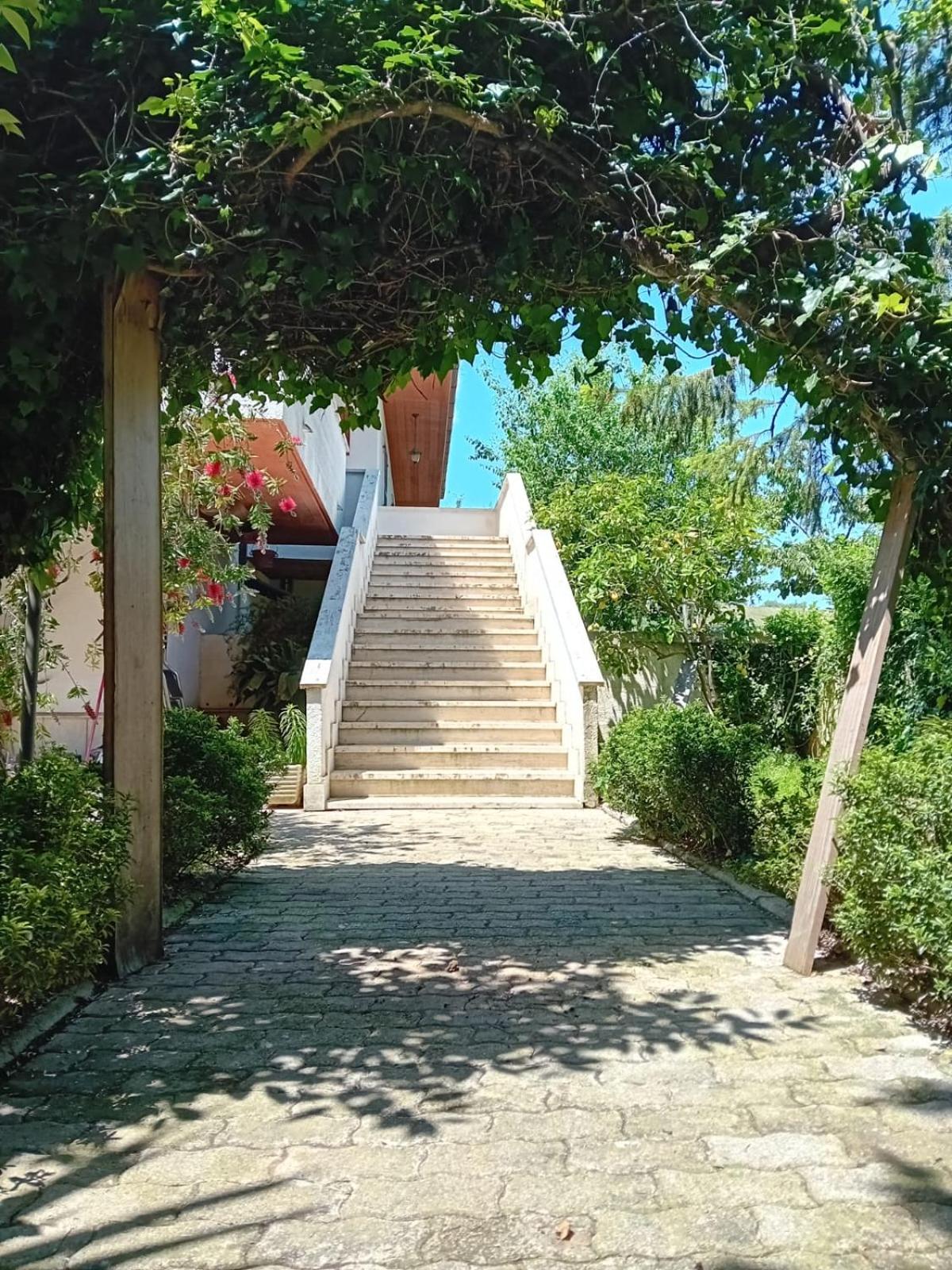 DA GIANNì view 3