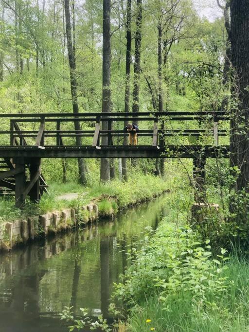 Spreewaldhaus Raddusch, Boote- Fahrräder gratis