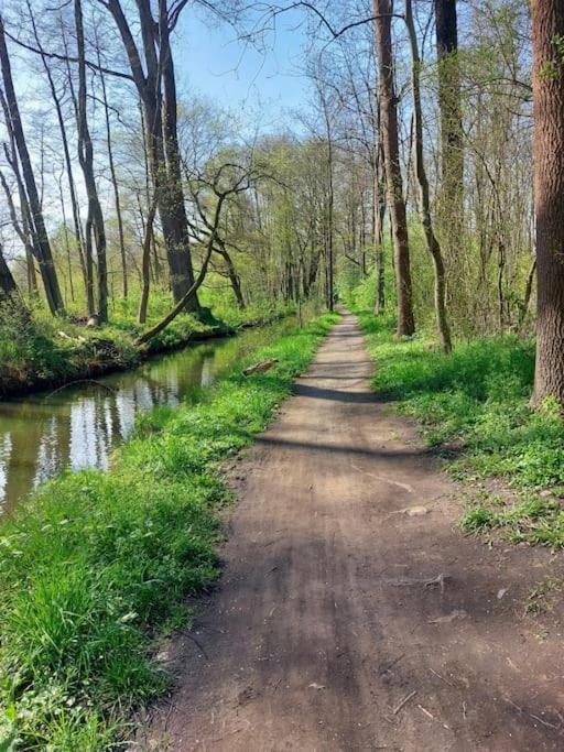 Spreewaldhaus Raddusch, Boote- Fahrräder gratis