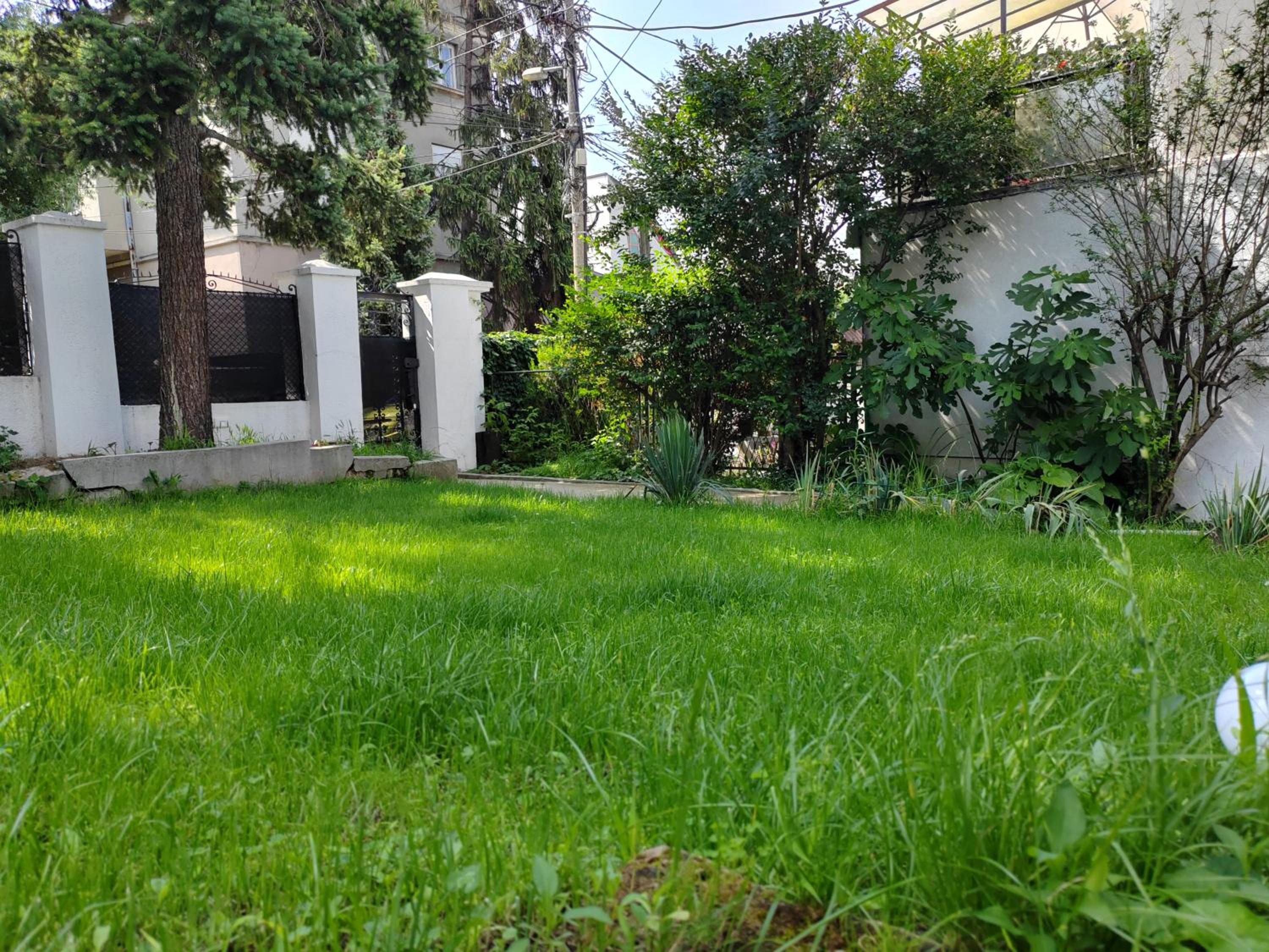 Magenta Garden