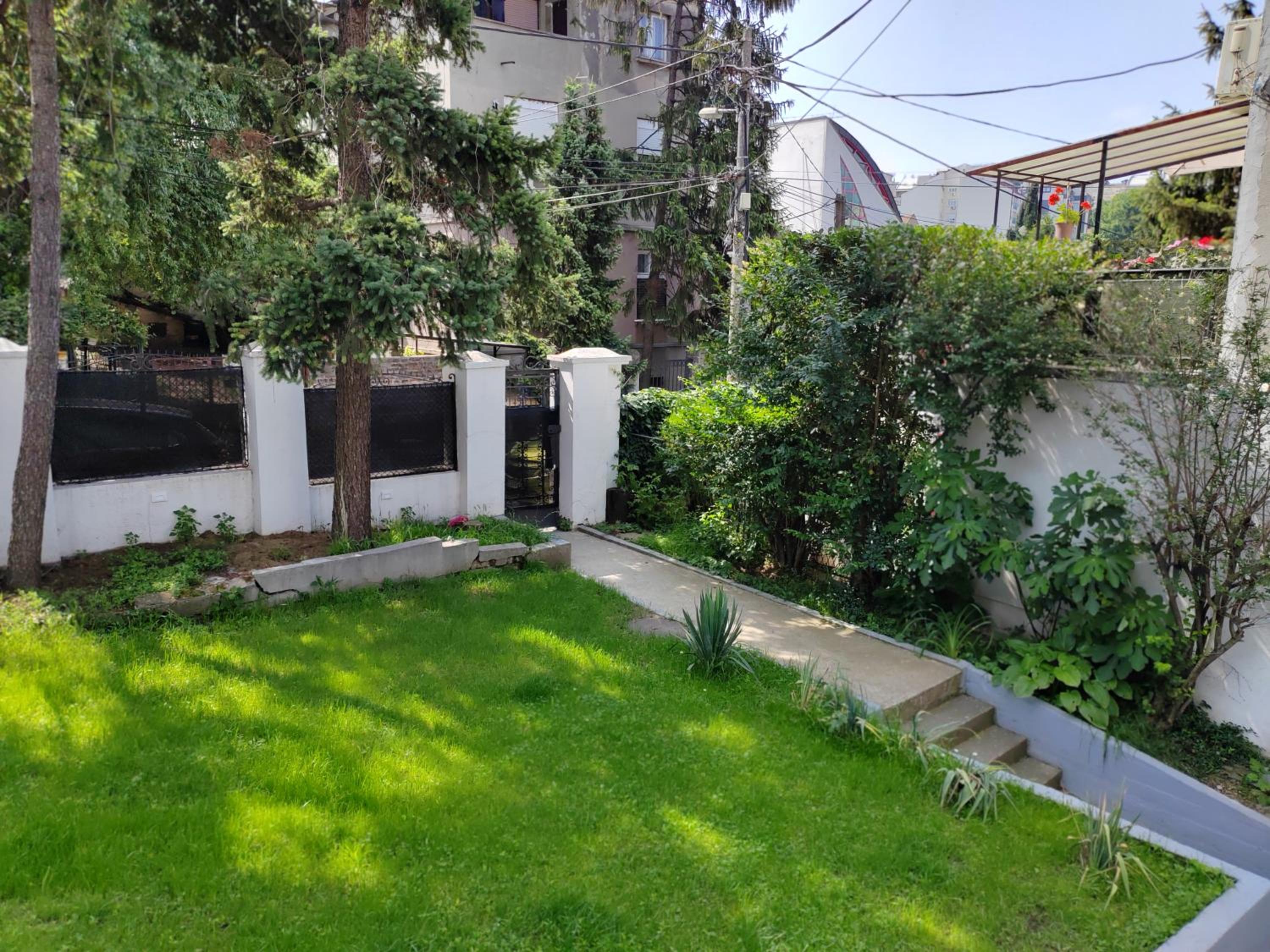 Magenta Garden