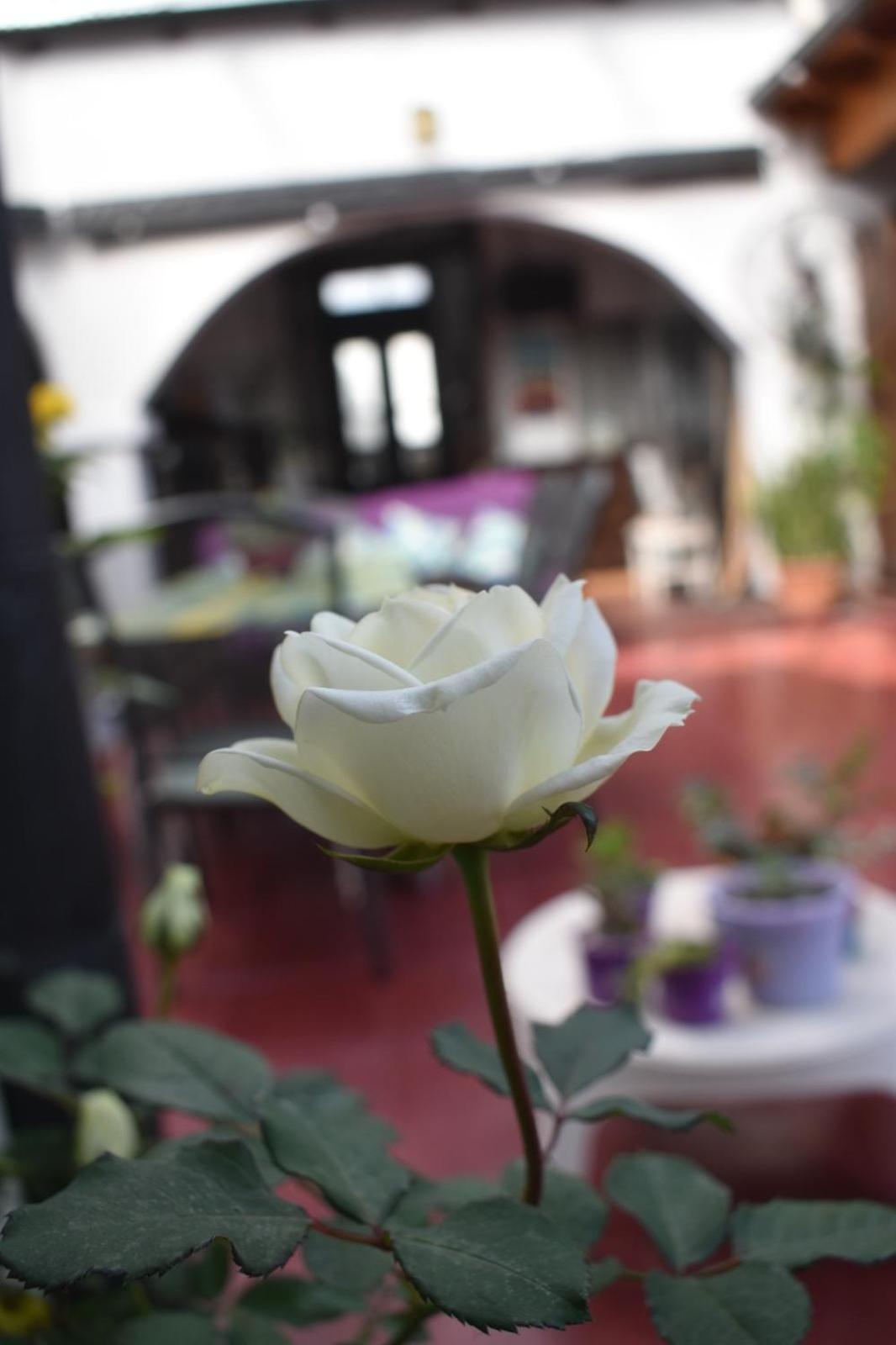 Ñanderoga B&B
