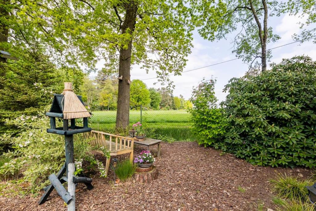 NOFLIK, een gezellig chalet met een fraaie en rustige ligging view 3