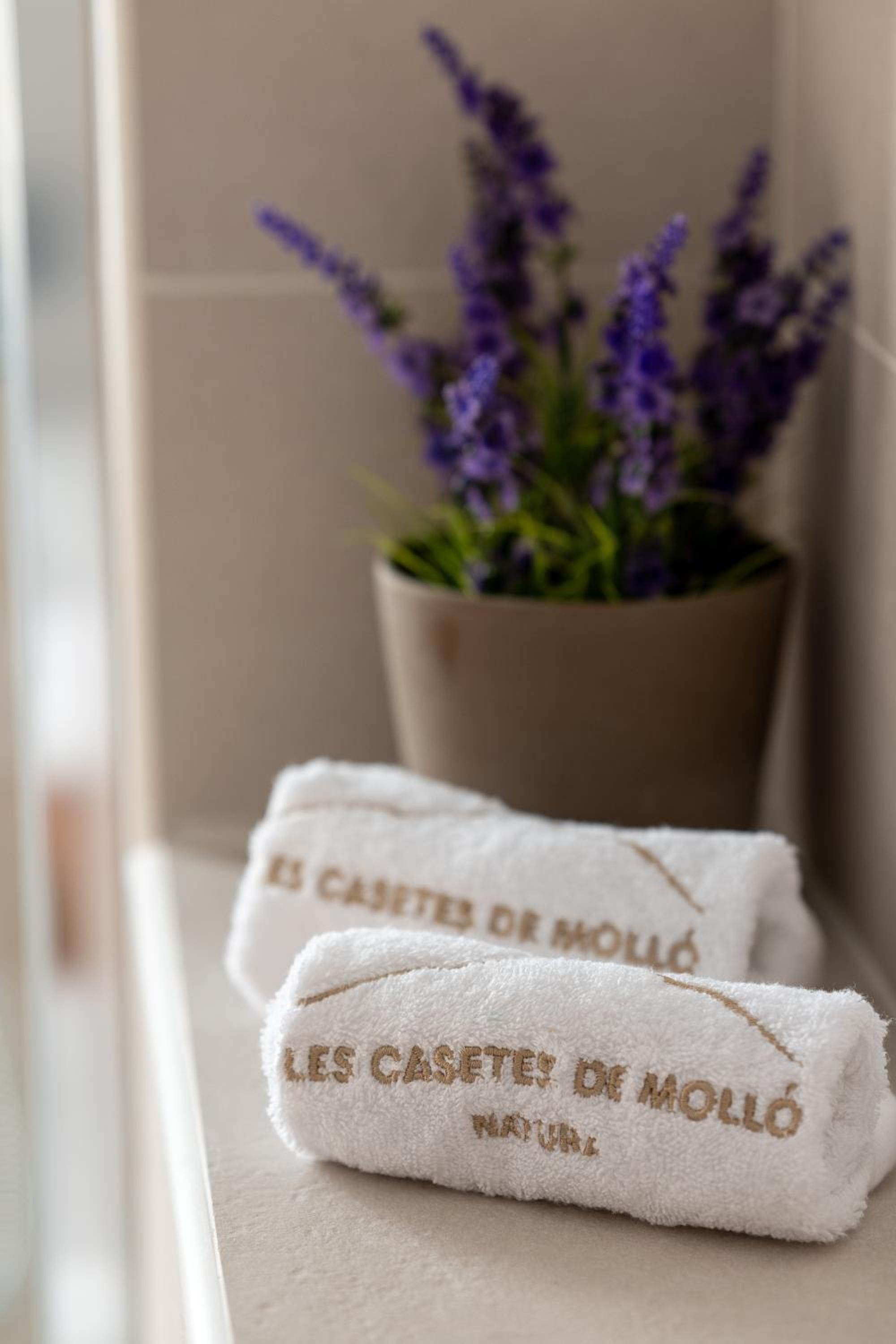 Les Casetes de Molló