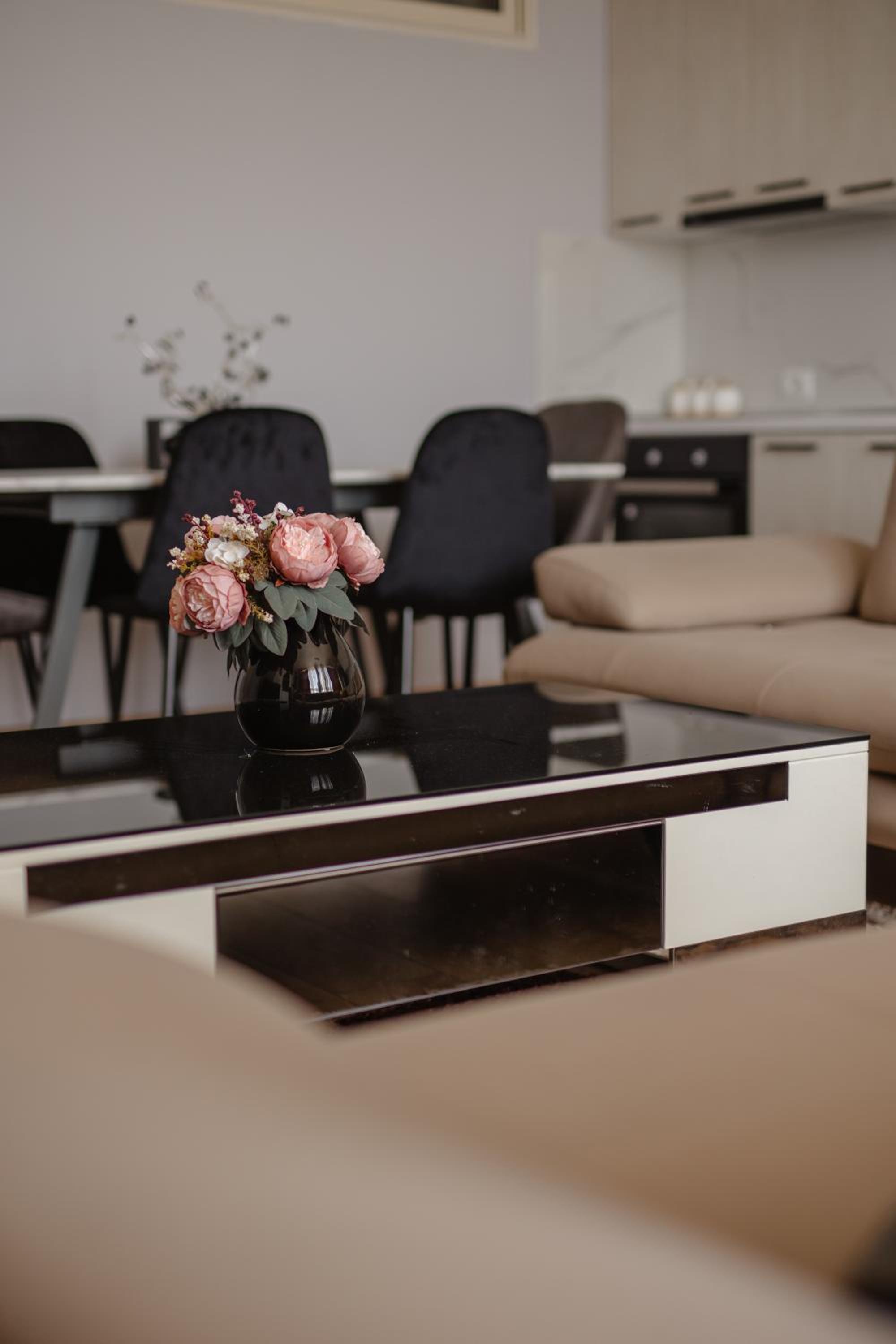 City Center Apartment Scutari