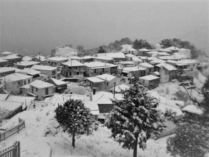 LAFION HOUSE