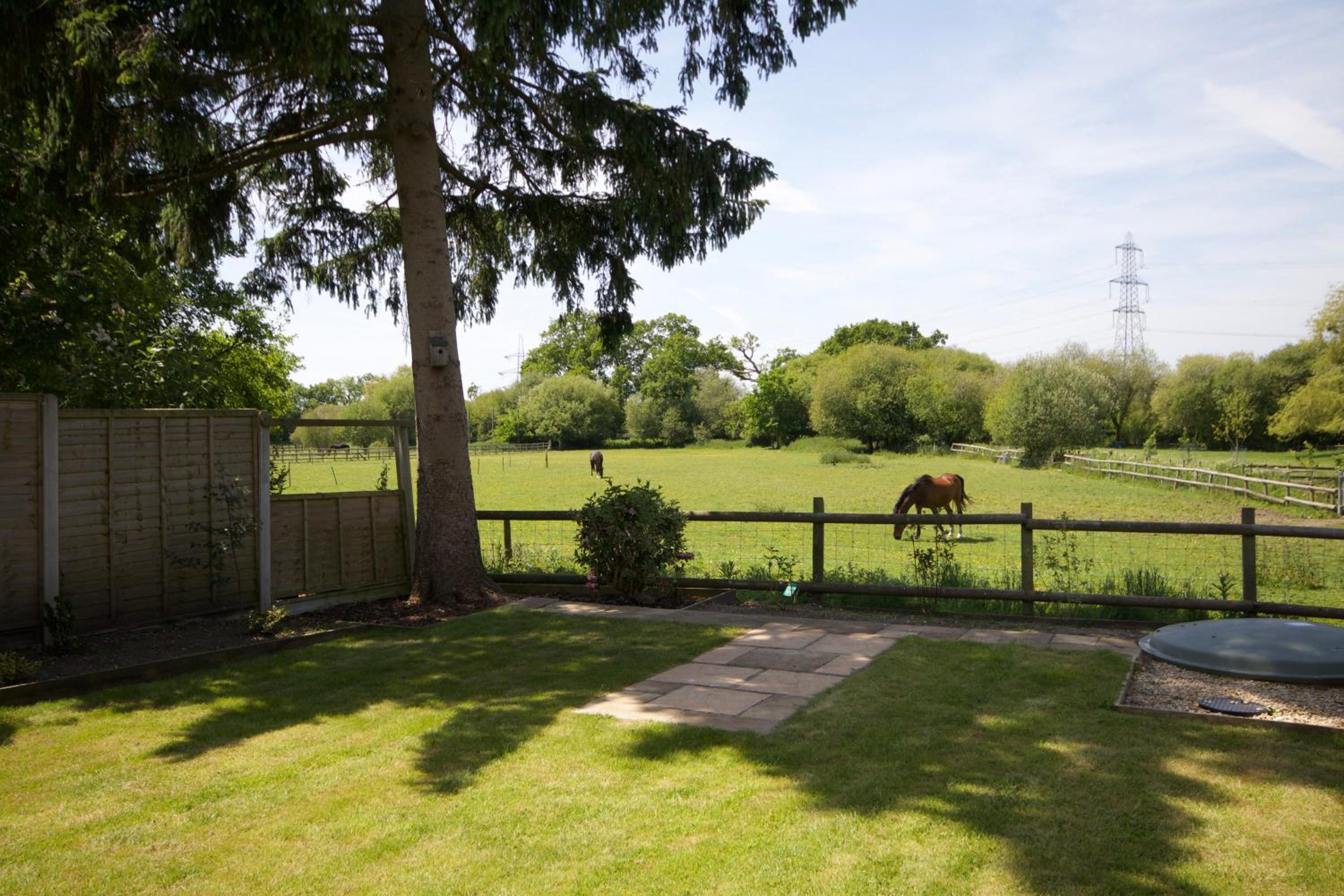 Avondale New Forest view 2