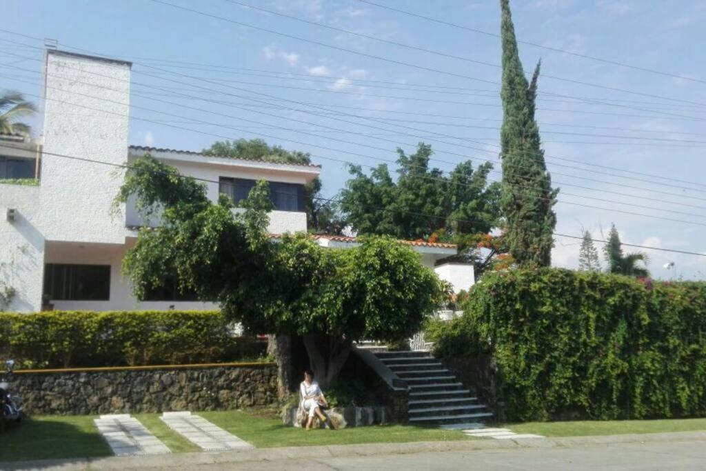 Photo 43
