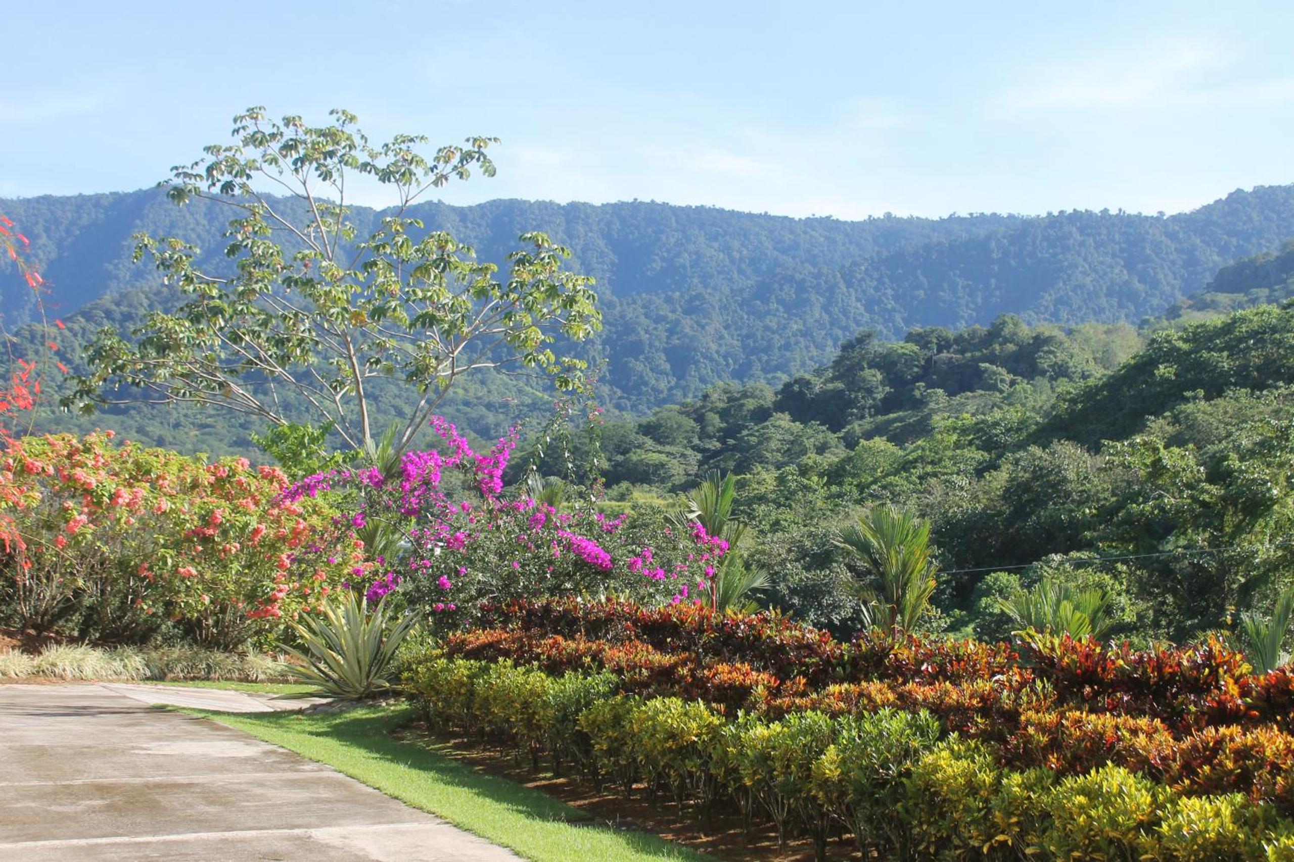 Hacienda Jaguar - by Pura Villas