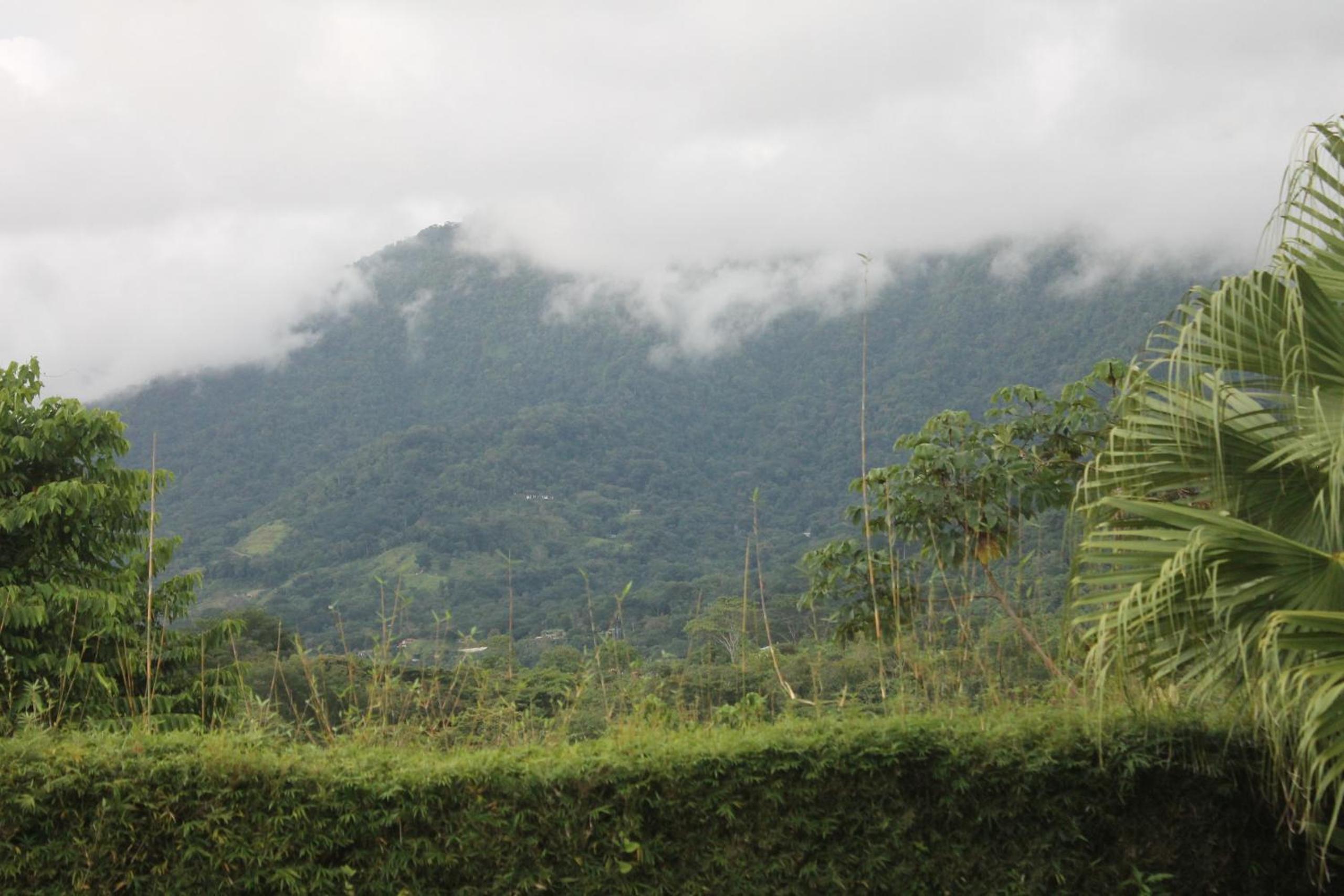 Hacienda Jaguar - by Pura Villas